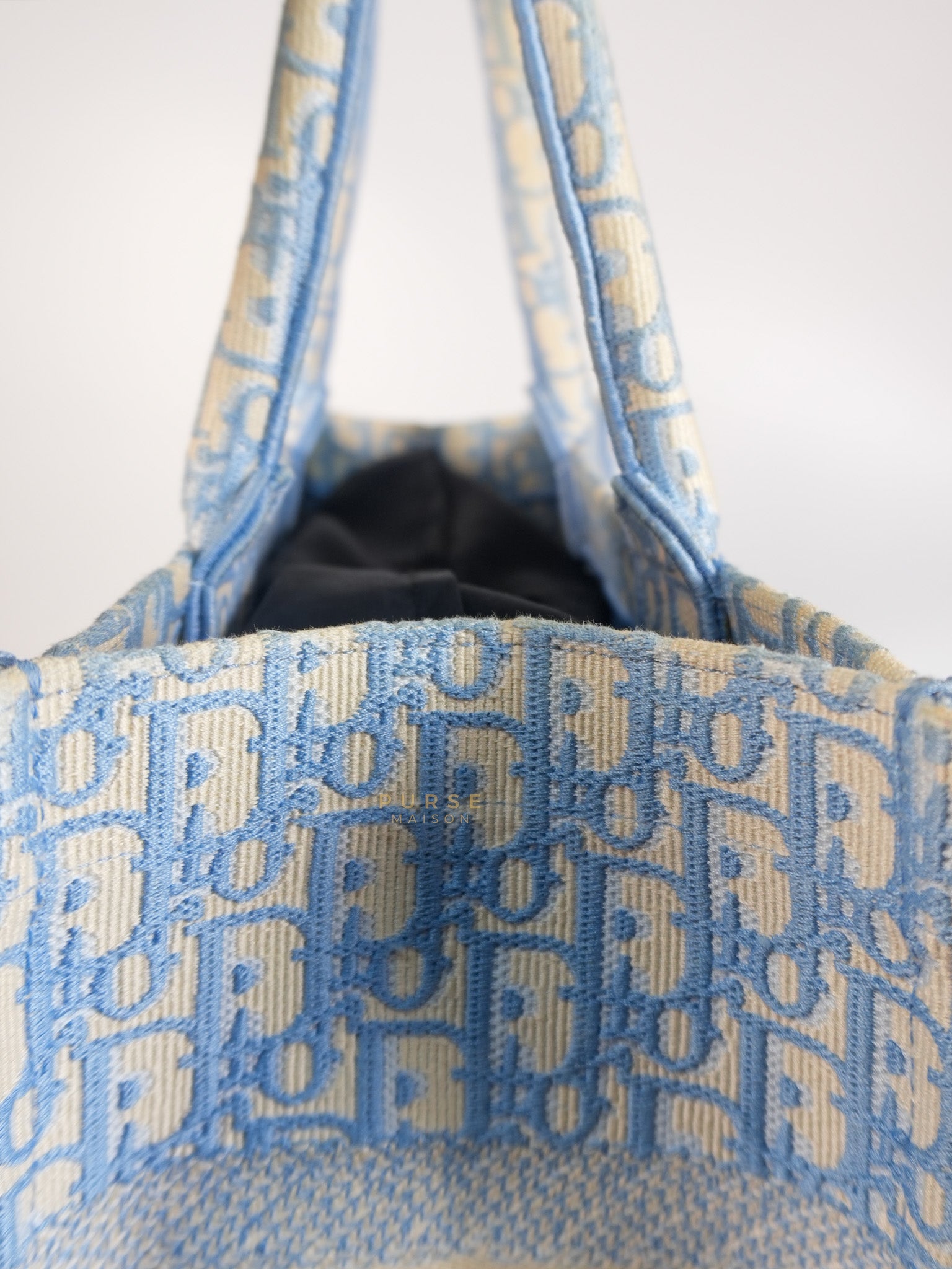 Book Tote Medium Sky Blue Oblique Canvas | Purse Maison Luxury Bags Shop