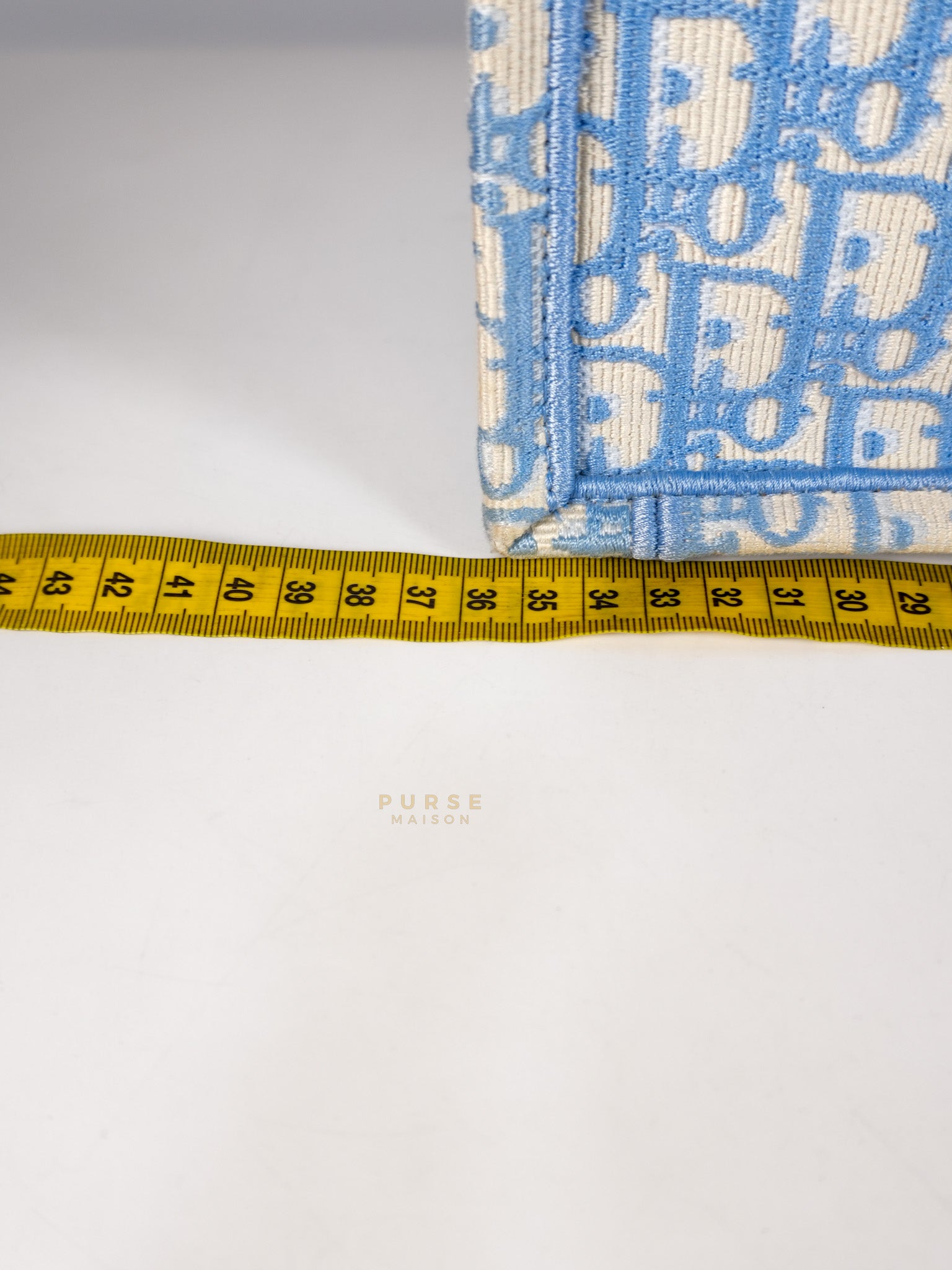 Book Tote Medium Sky Blue Oblique Canvas | Purse Maison Luxury Bags Shop