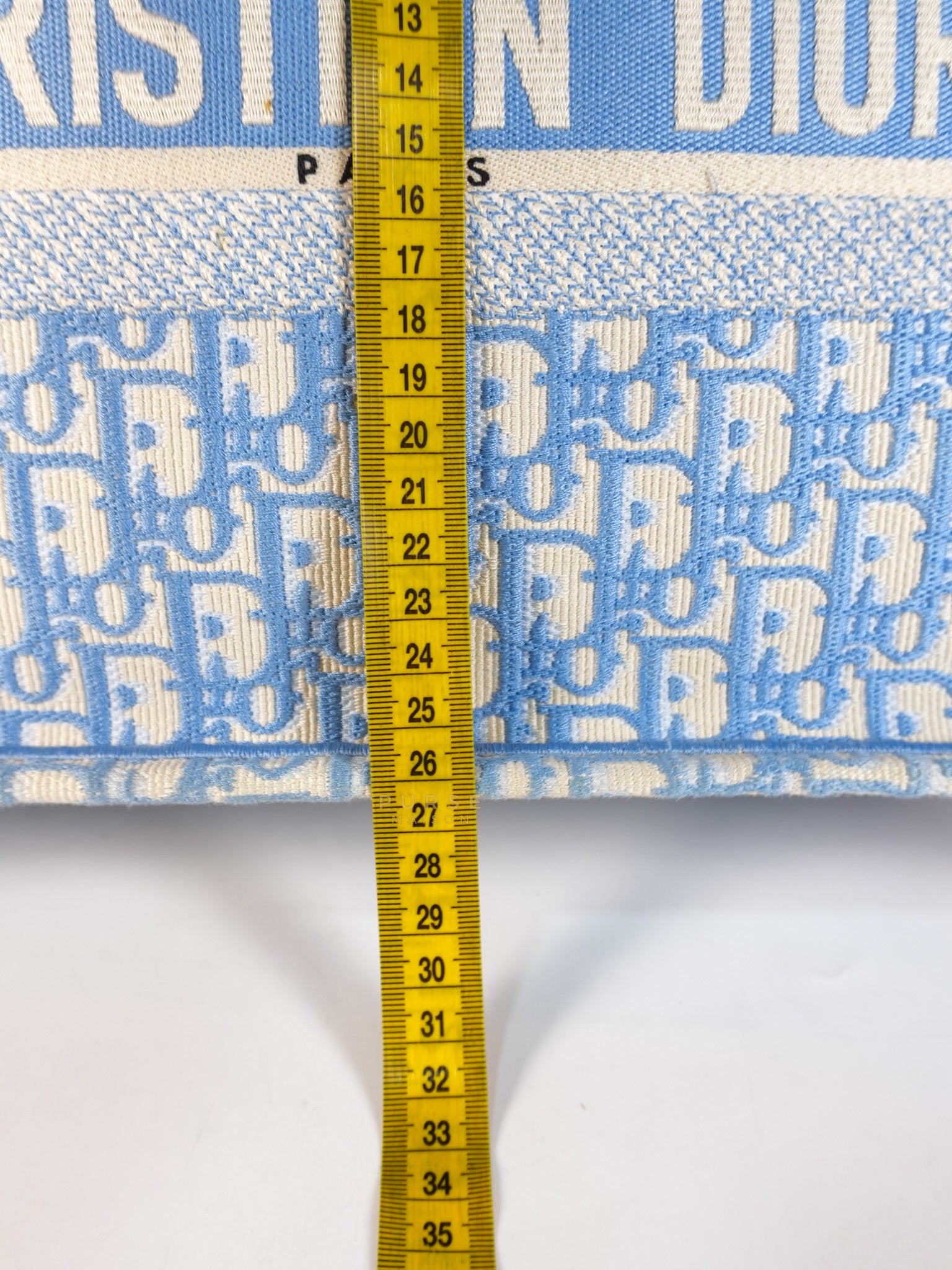 Book Tote Medium Sky Blue Oblique Canvas | Purse Maison Luxury Bags Shop