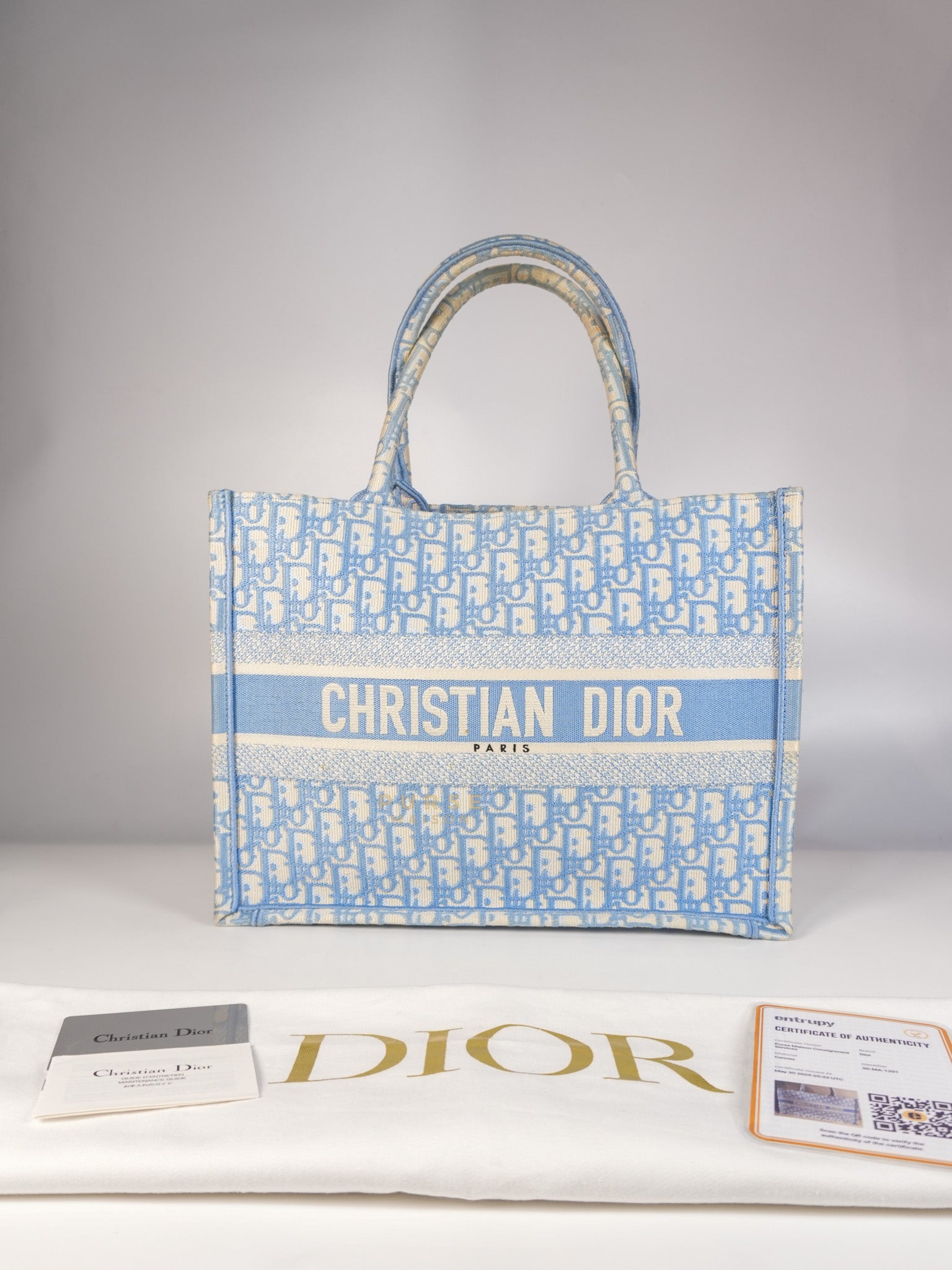 Book Tote Medium Sky Blue Oblique Canvas | Purse Maison Luxury Bags Shop