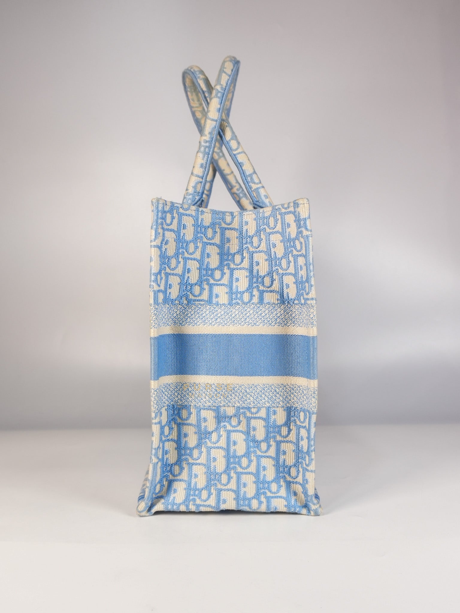 Book Tote Medium Sky Blue Oblique Canvas | Purse Maison Luxury Bags Shop
