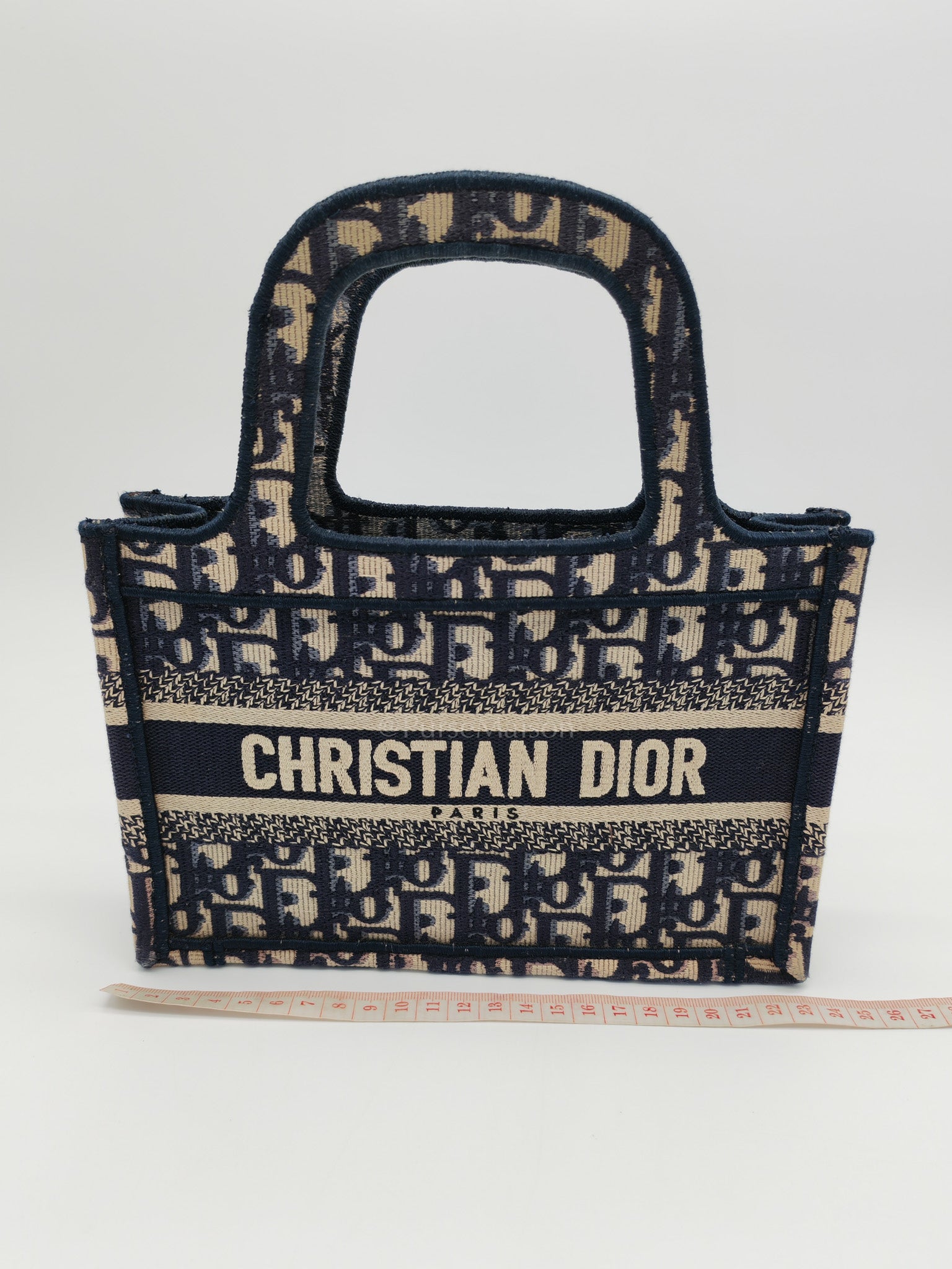 Book Tote Mini in Blue Embroidered Canvas | Purse Maison Luxury Bags Shop