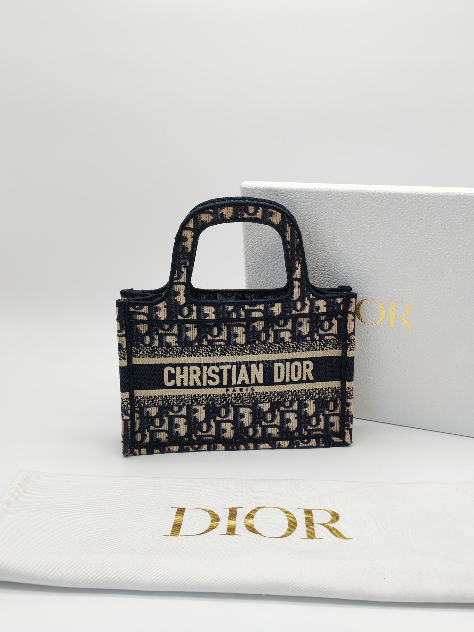 Book Tote Mini in Blue Embroidered Canvas | Purse Maison Luxury Bags Shop