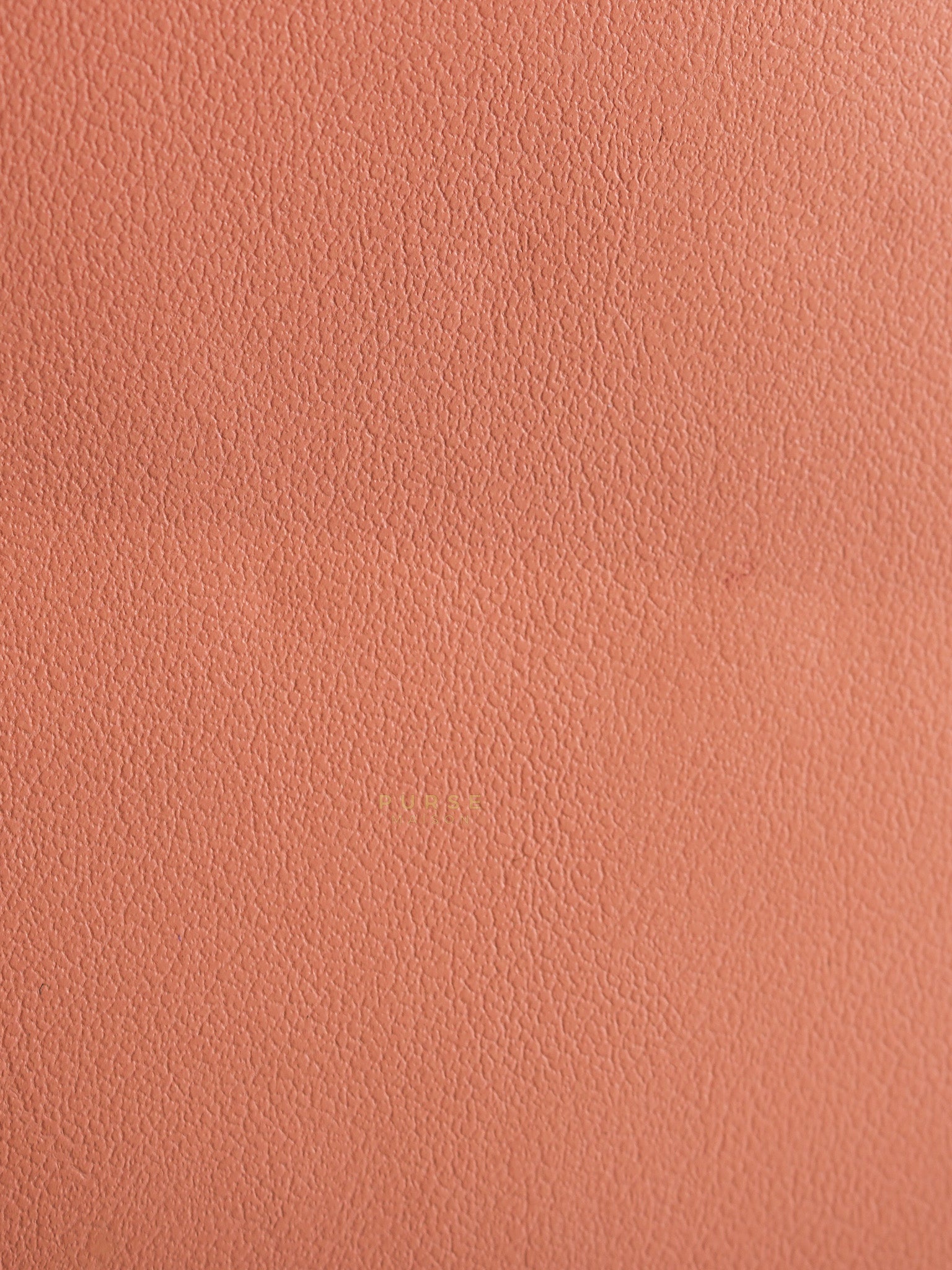 Boy Wallet On Chain in Light Pink Caviar Leather & Aged Gold Hardware (Series 27) | Purse Maison Luxury Bags Shop