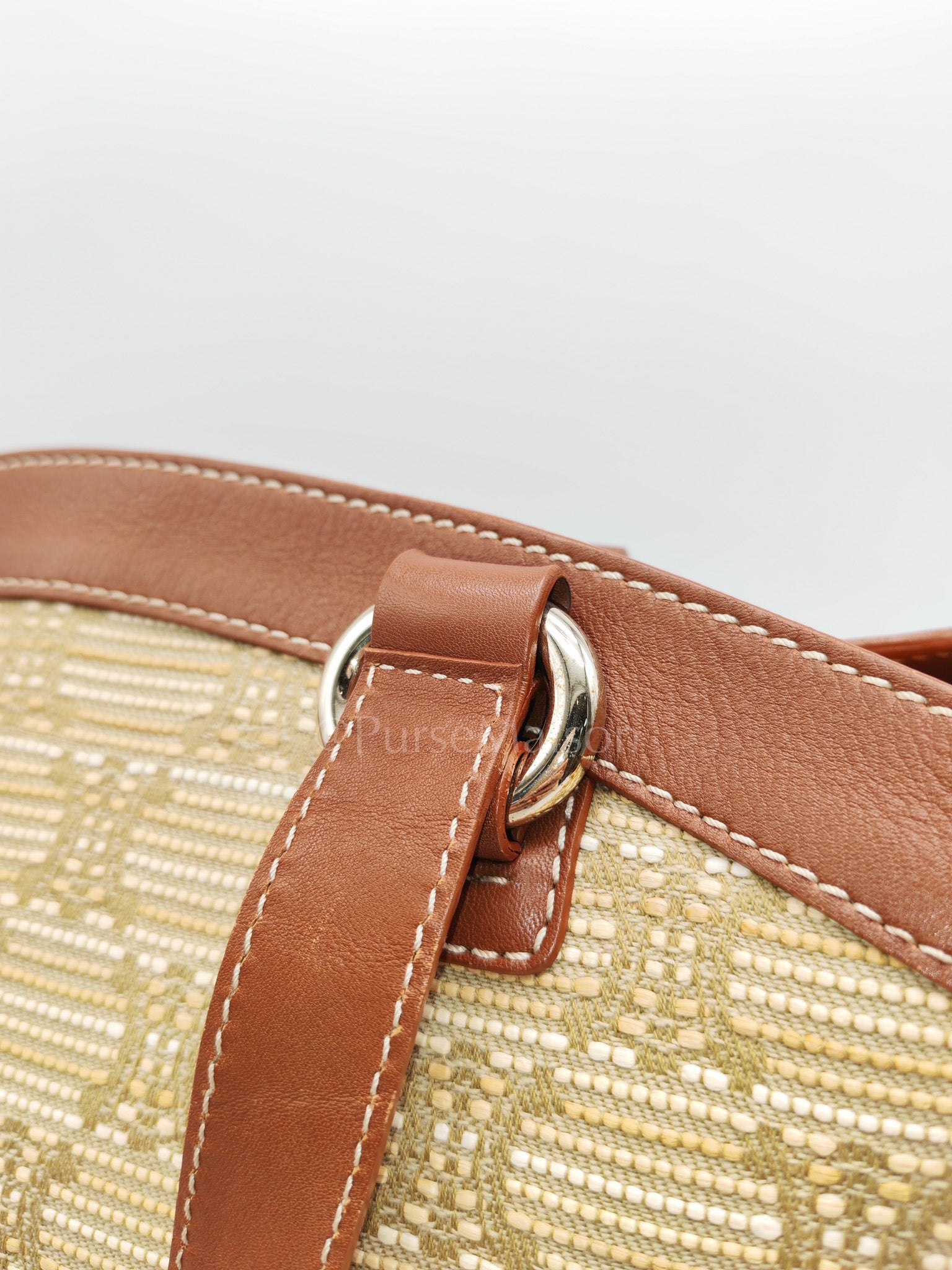 Macadam Monogram Canvas Tote Bag in Brown Leather Trim and Handle