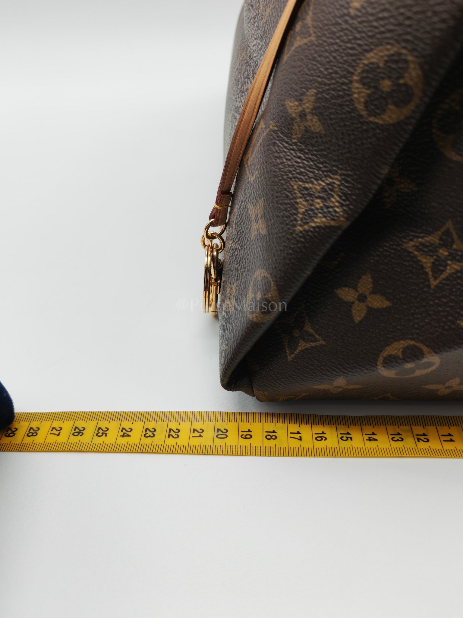 Artsy Bag MM in Monogram Canvas (Microchip)