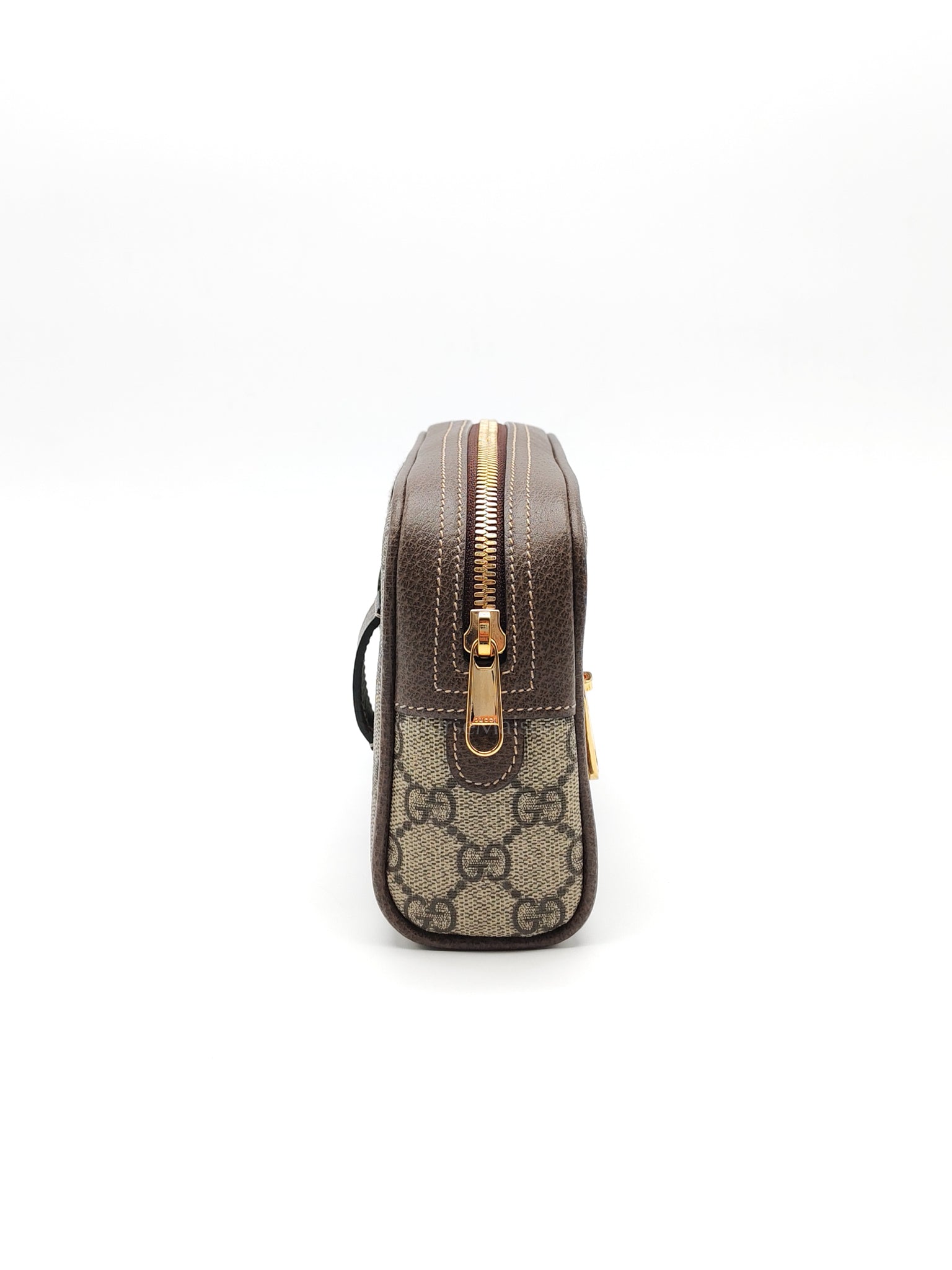 Ophidia Belt Bag Small in GG Coated Canvas