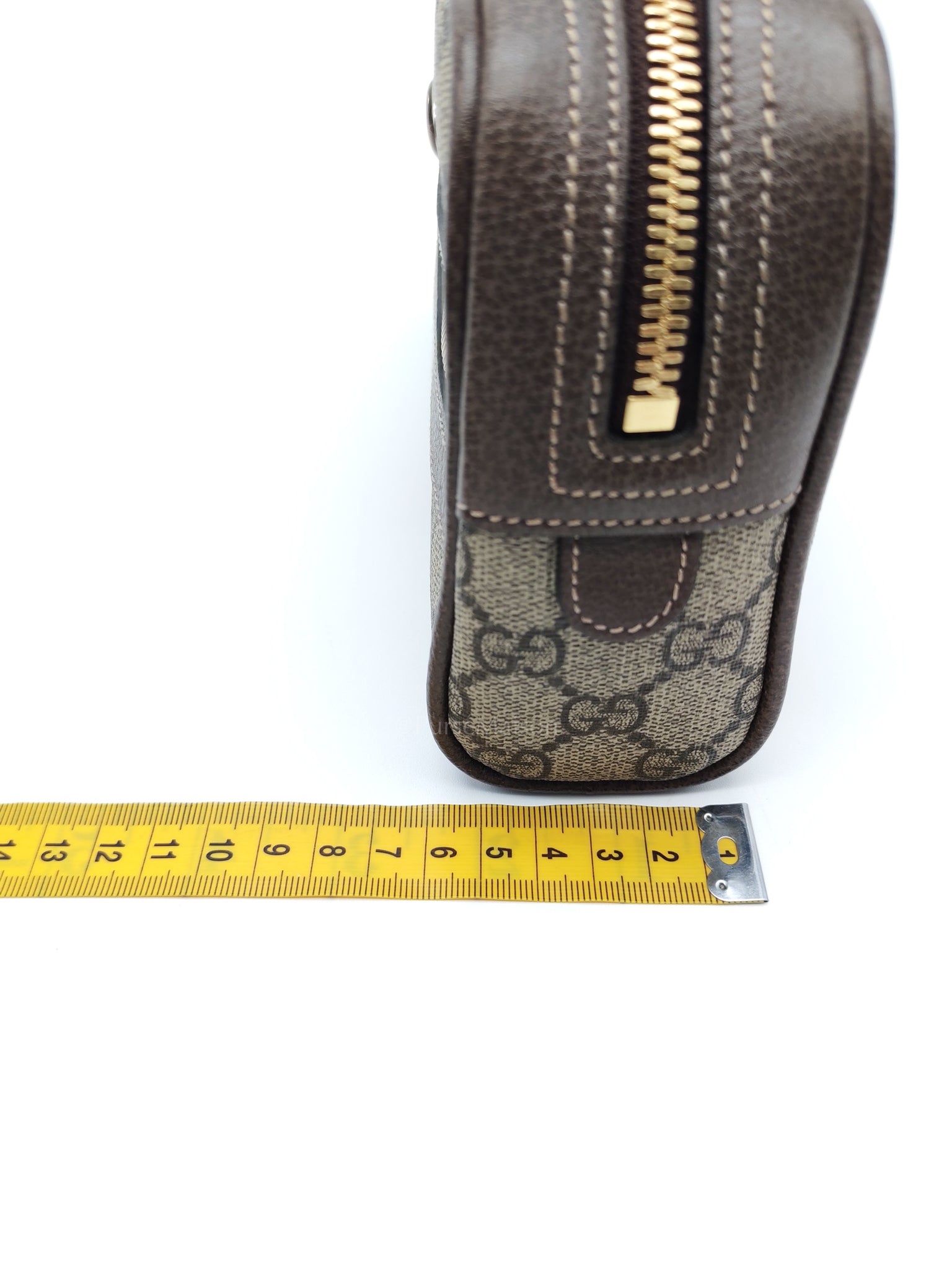 Ophidia Belt Bag Small in GG Coated Canvas