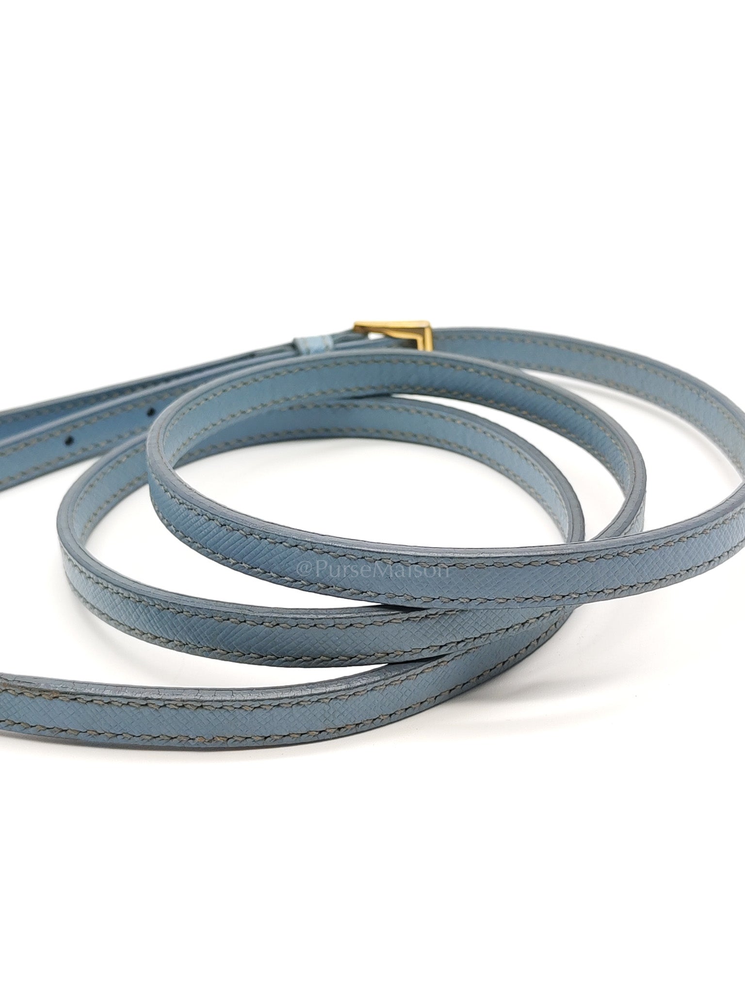Promenade Small Bag in Light Blue Saffiano Lux Leather & Gold Hardware