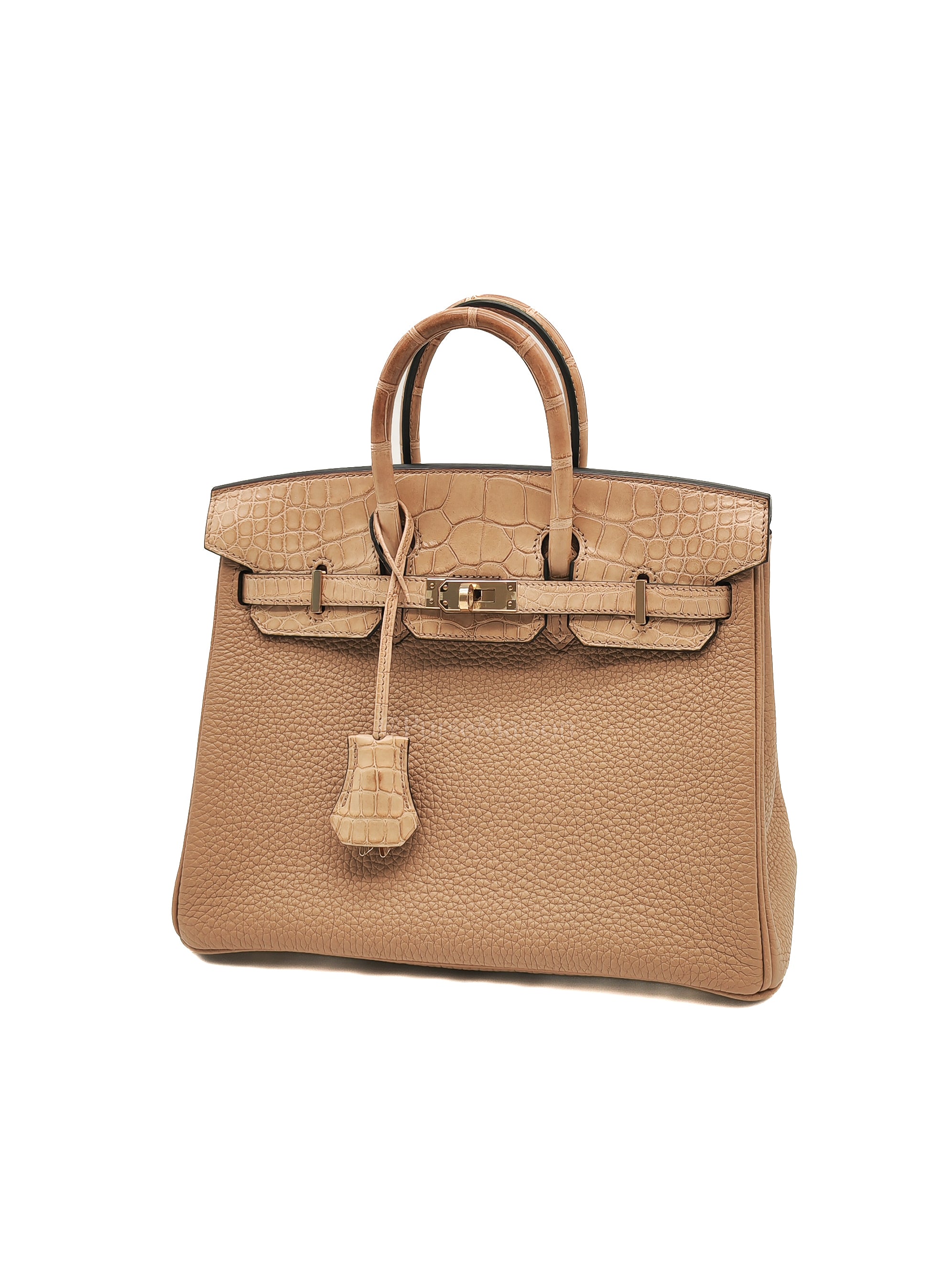 Birkin 25 Retourne Touch in Chai Togo and Alligator Leather in Permabrass Hardware Stamp U (2022)