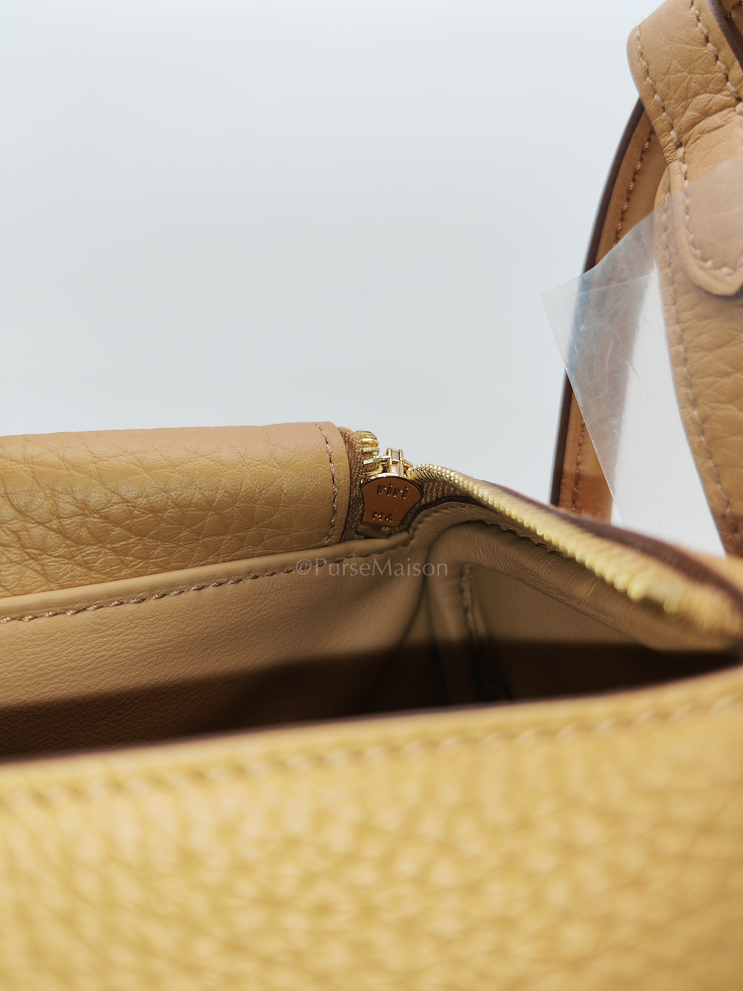 Mini Lindy Biscuit In Clemence Leather and Gold Hardware Stamp K (2025)