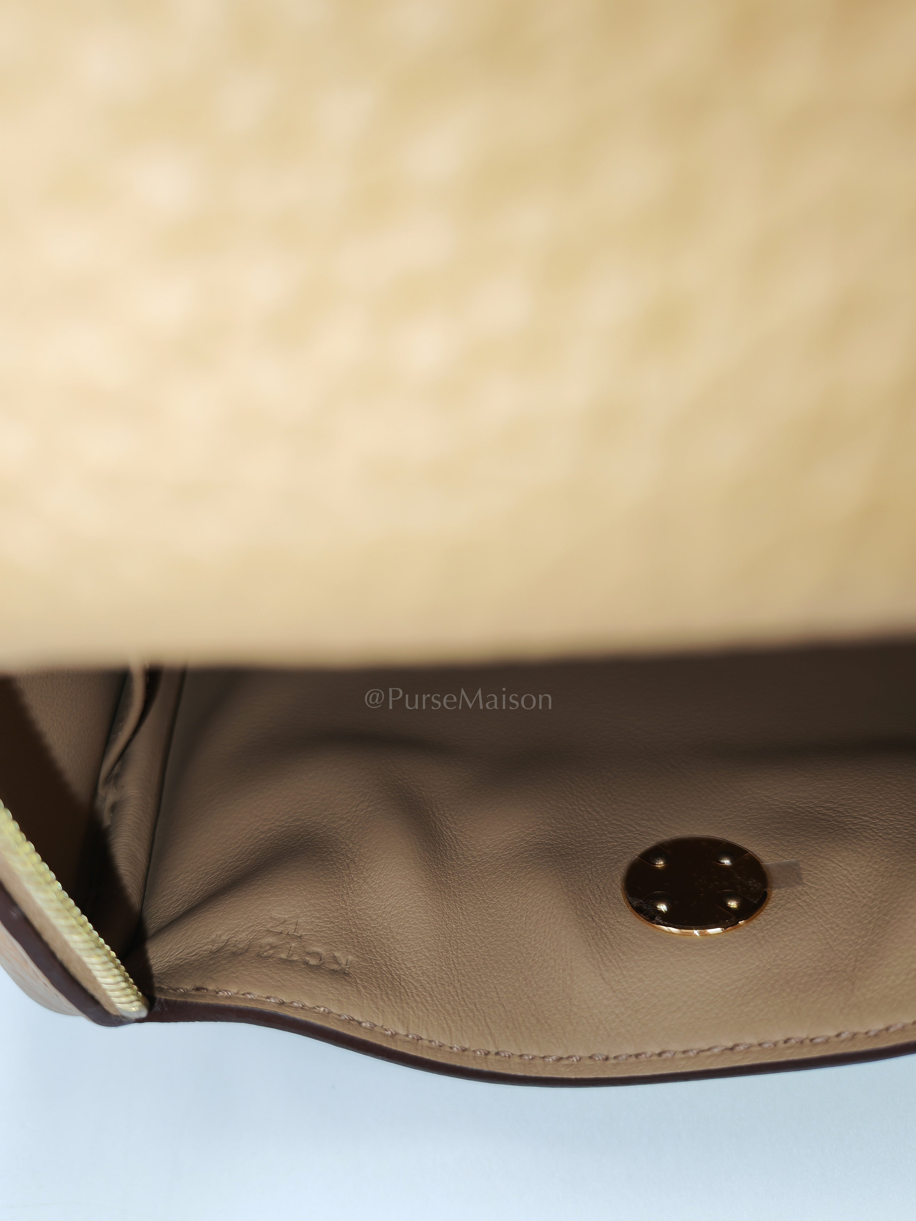 Mini Lindy Biscuit In Clemence Leather and Gold Hardware Stamp K (2025)