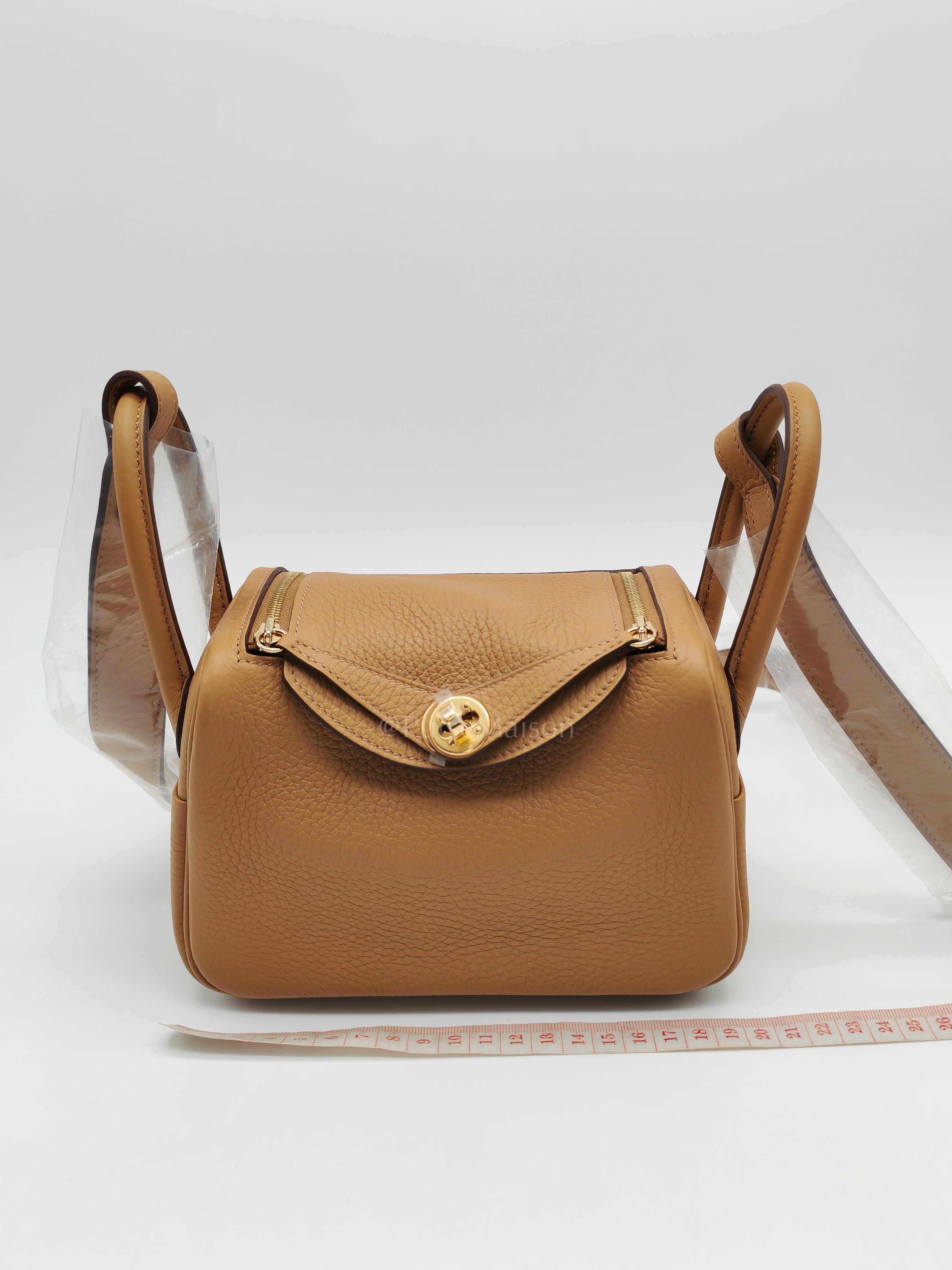 Mini Lindy Biscuit In Clemence Leather and Gold Hardware Stamp K (2025)