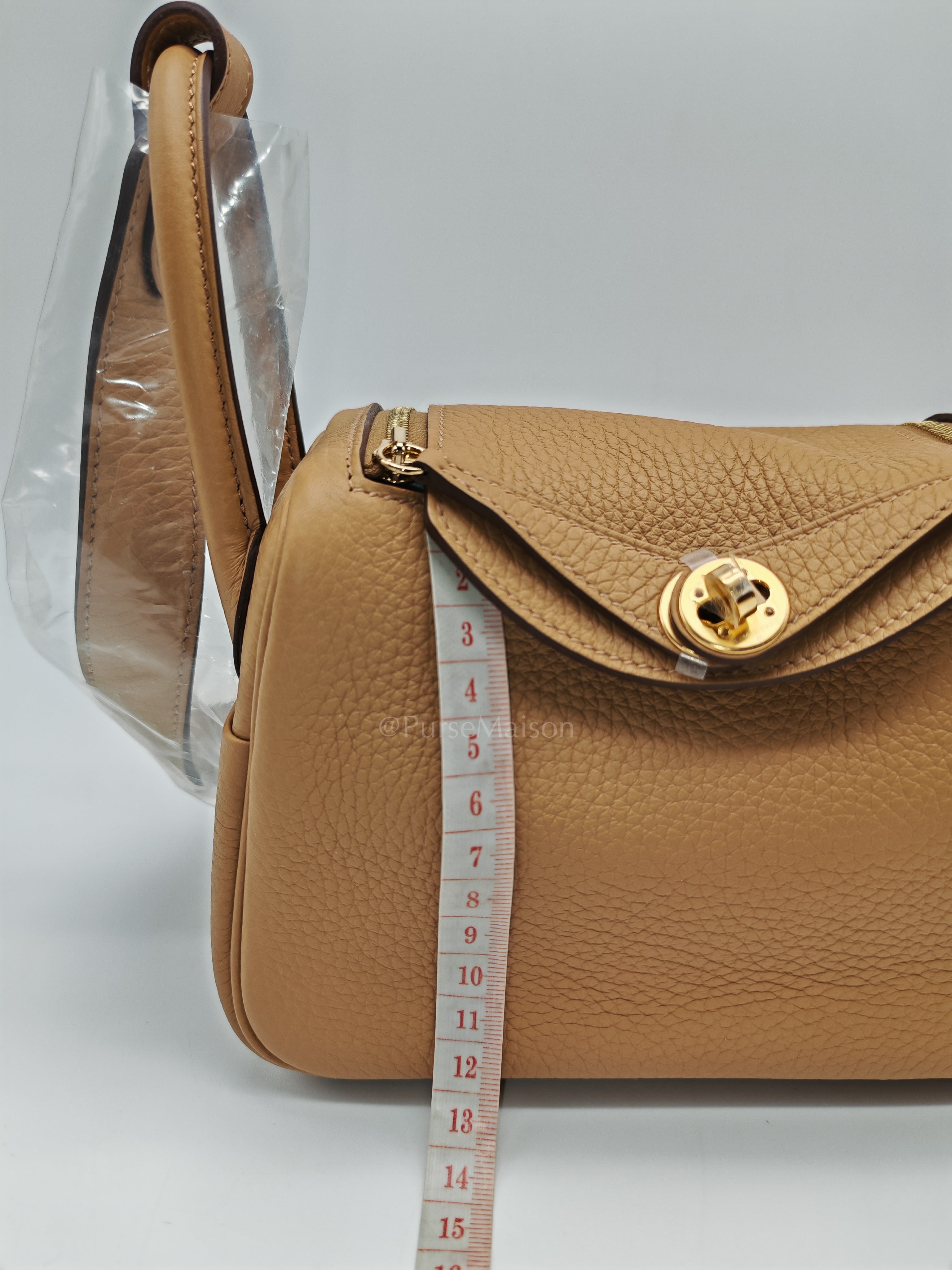 Mini Lindy Biscuit In Clemence Leather and Gold Hardware Stamp K (2025)