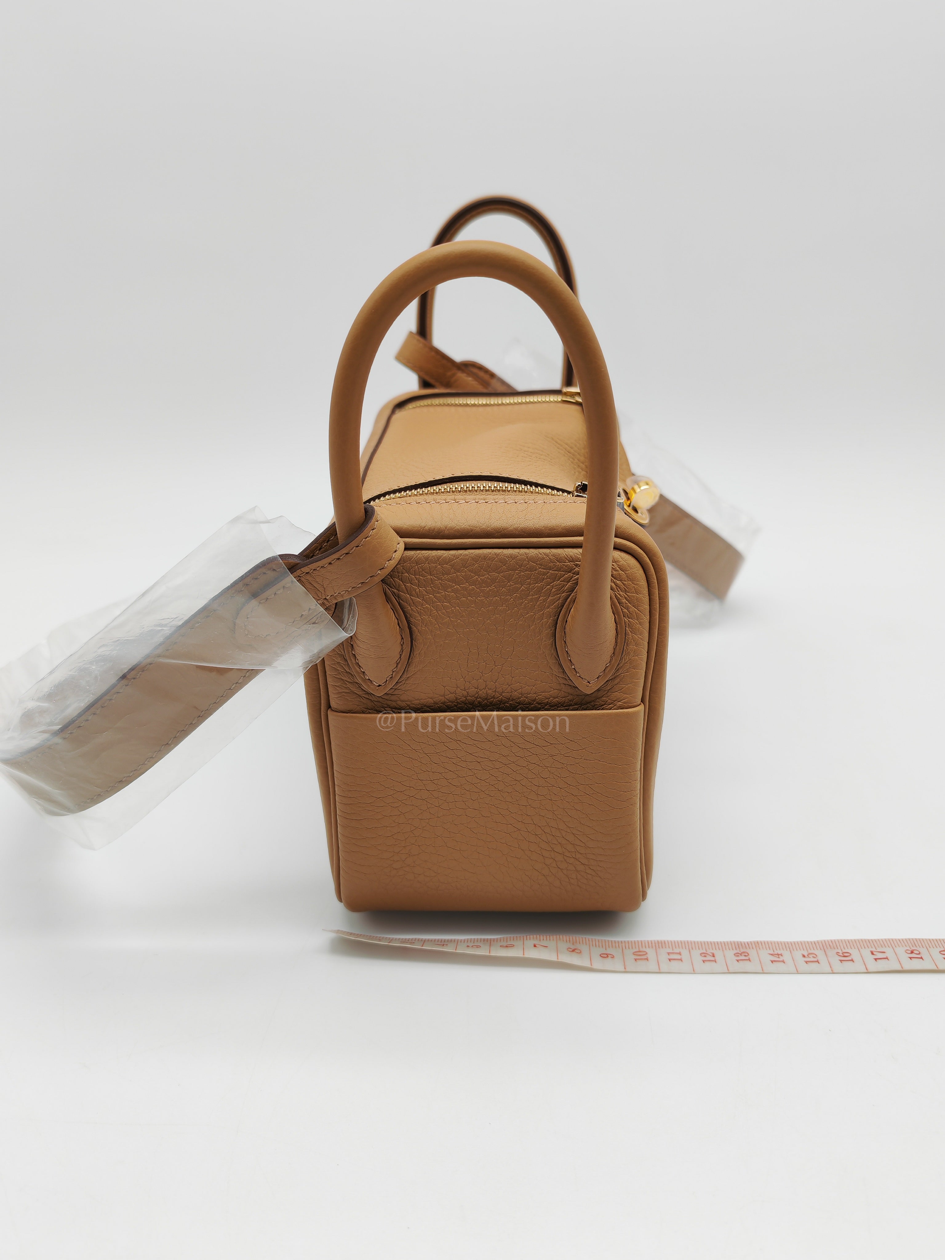 Mini Lindy Biscuit In Clemence Leather and Gold Hardware Stamp K (2025)