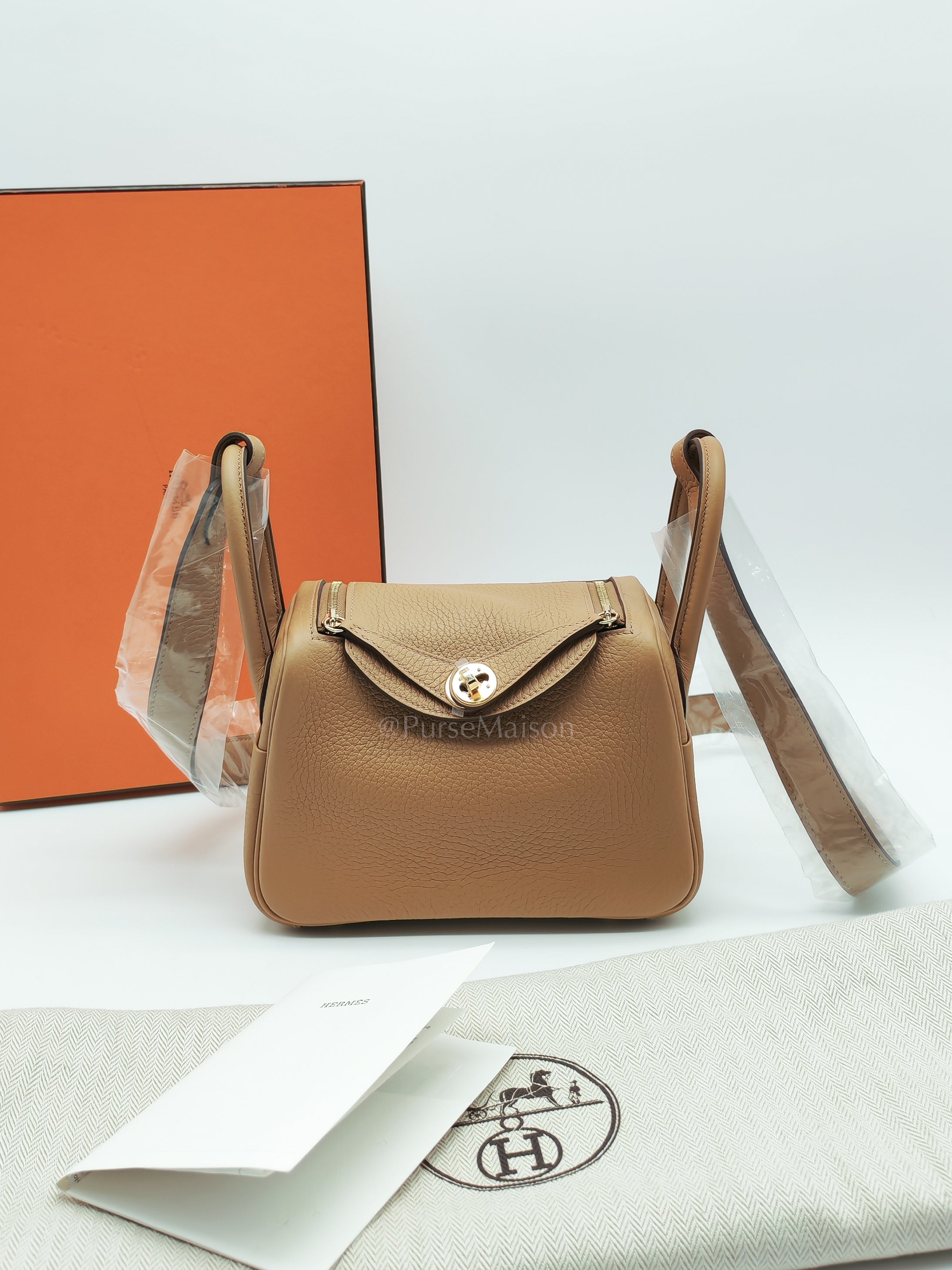 Mini Lindy Biscuit In Clemence Leather and Gold Hardware Stamp K (2025)