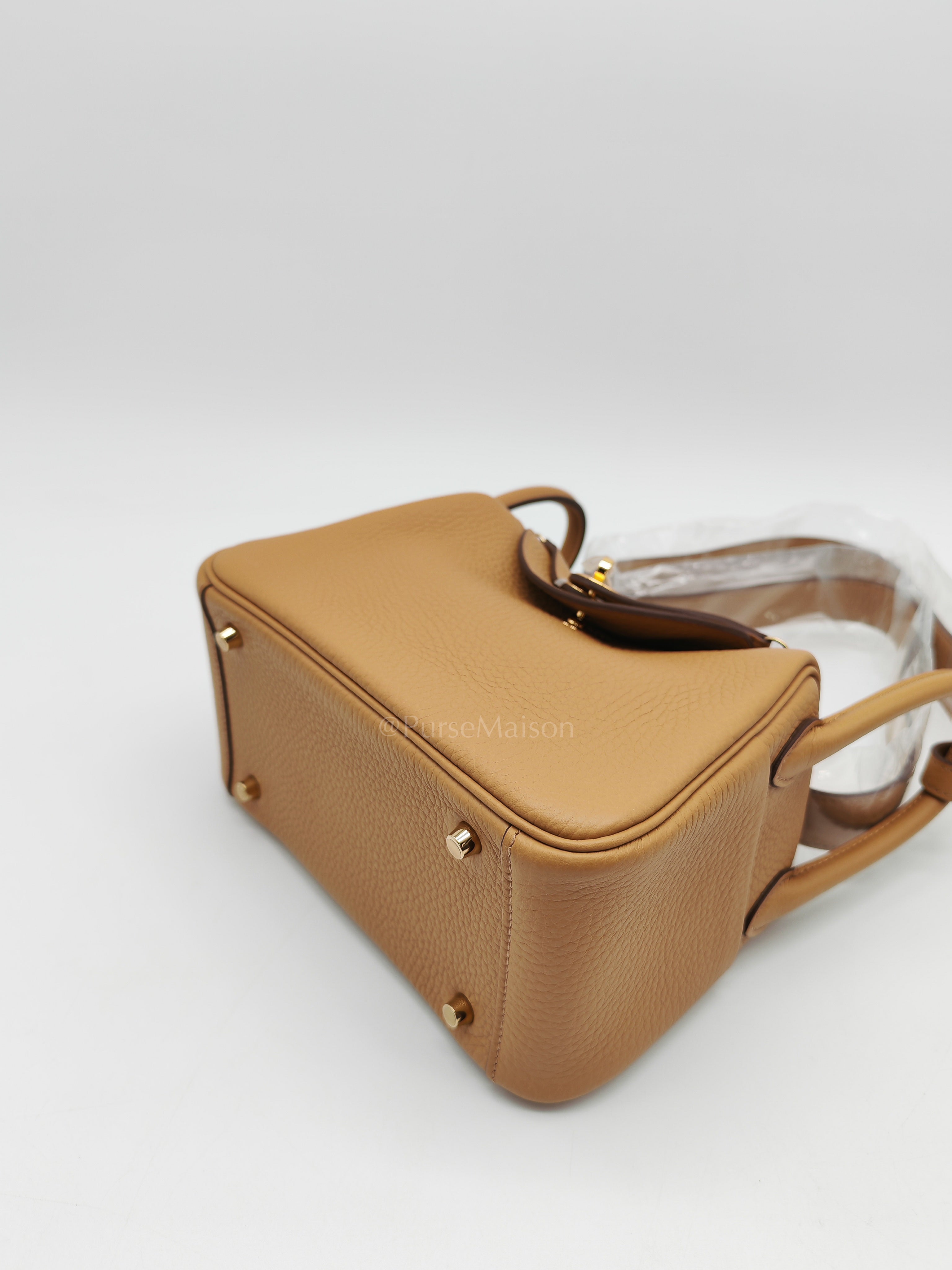 Mini Lindy Biscuit In Clemence Leather and Gold Hardware Stamp K (2025)