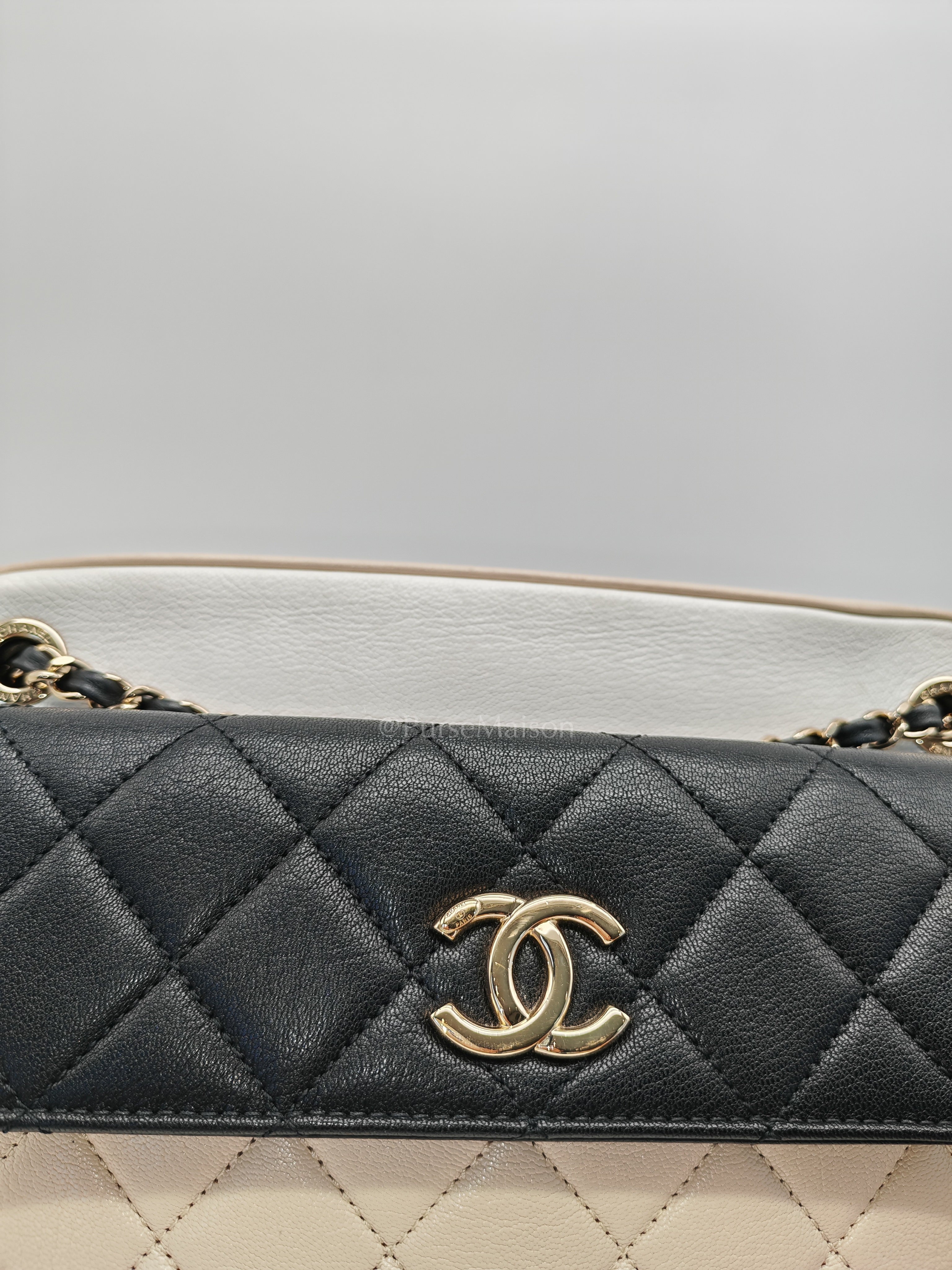 Camera Case Bag in Tricolor Beige/White/Black Quilted Goatskin Leather & Light Gold Hardware Series 29 | Purse Maison Luxury Bags Shop