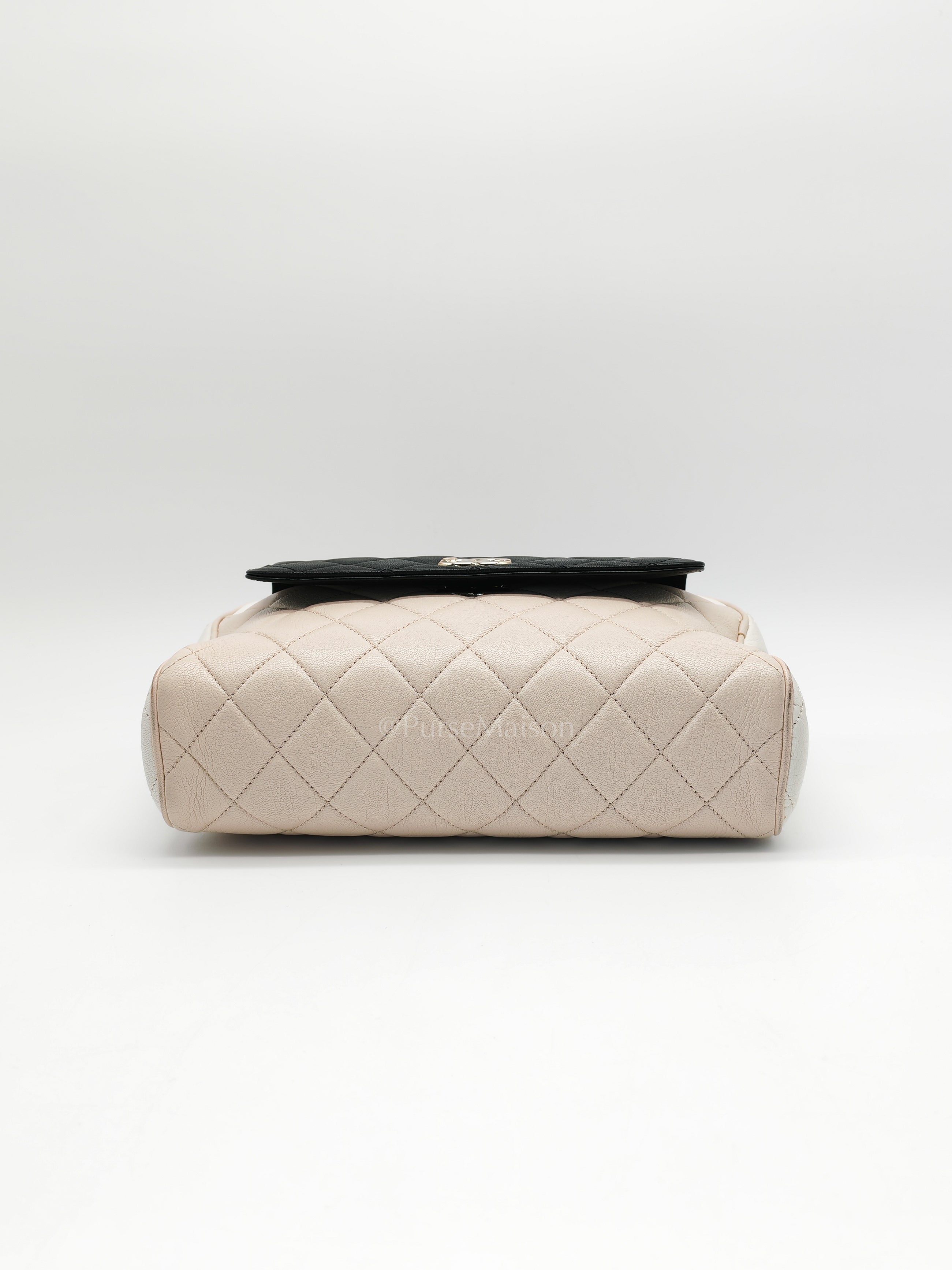 Camera Case Bag in Tricolor Beige/White/Black Quilted Goatskin Leather & Light Gold Hardware Series 29 | Purse Maison Luxury Bags Shop