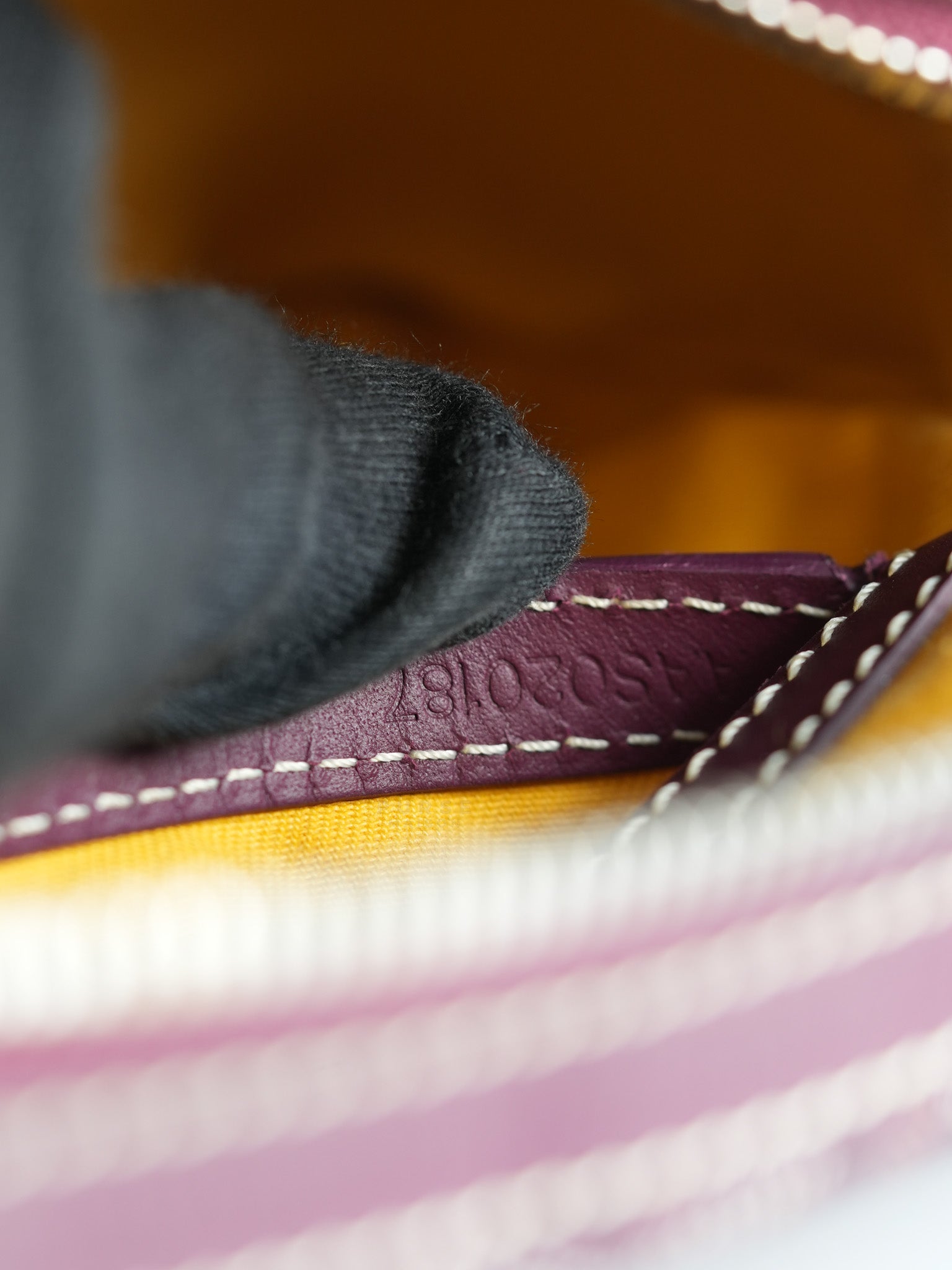 Cap Vert Bordeaux Goyardine Canvas Crossbody Bag | Purse Maison Luxury Bags Shop