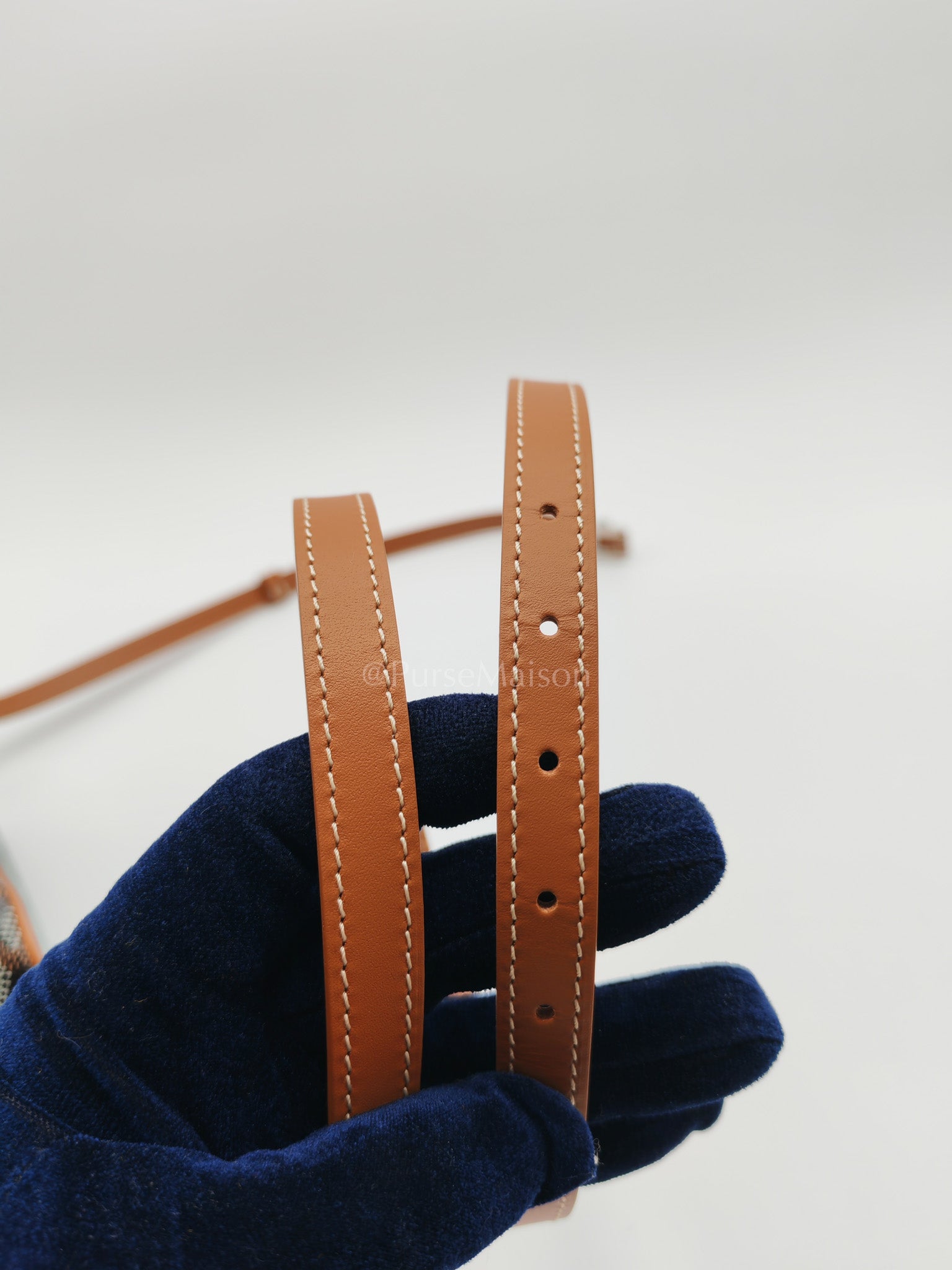 Cap Vert in Tan Goyardine Canvas Crossbody Bag | Purse Maison Luxury Bags Shop