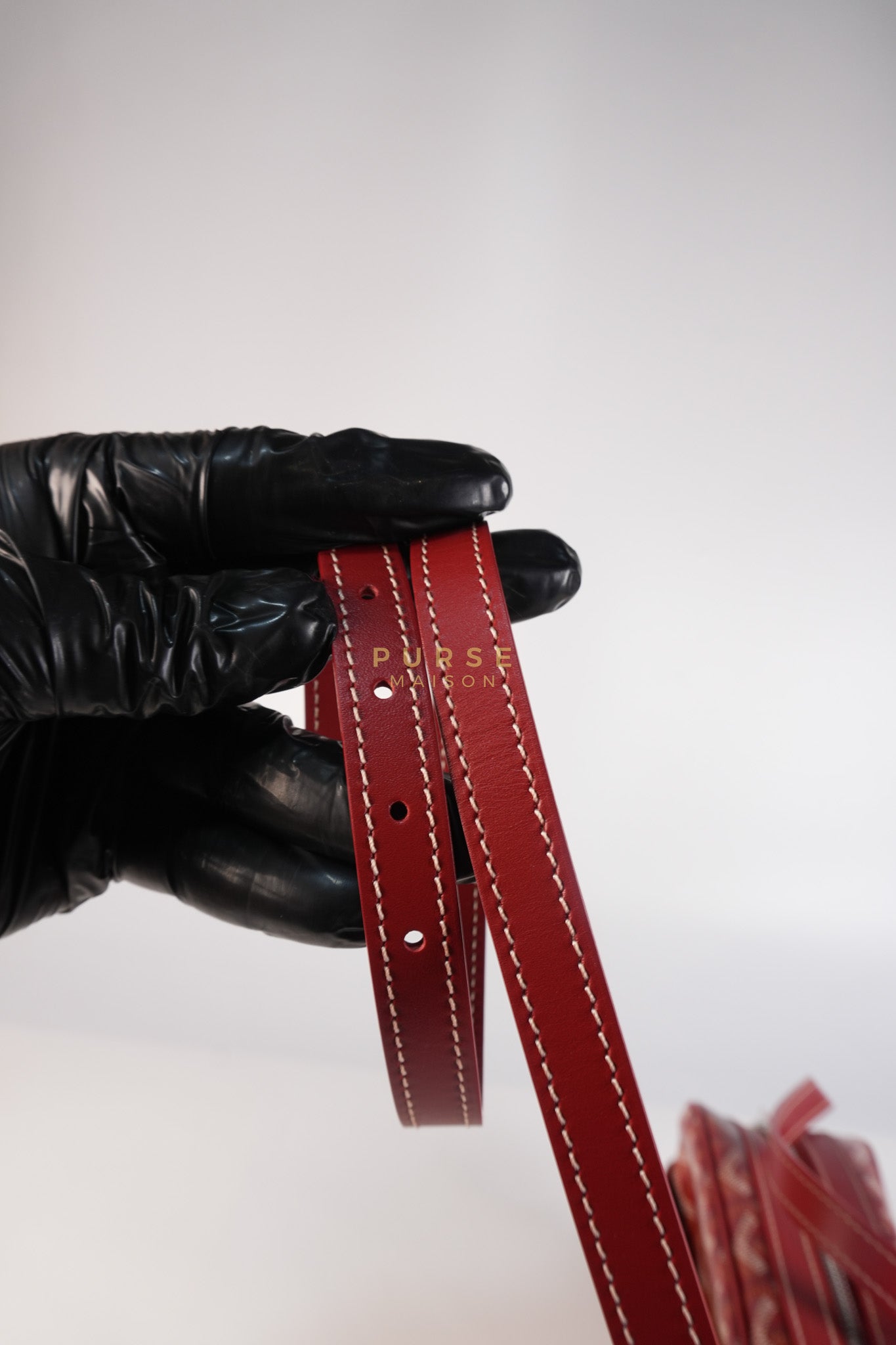 Cap Vert Red in Goyardine Canvas | Purse Maison Luxury Bags Shop