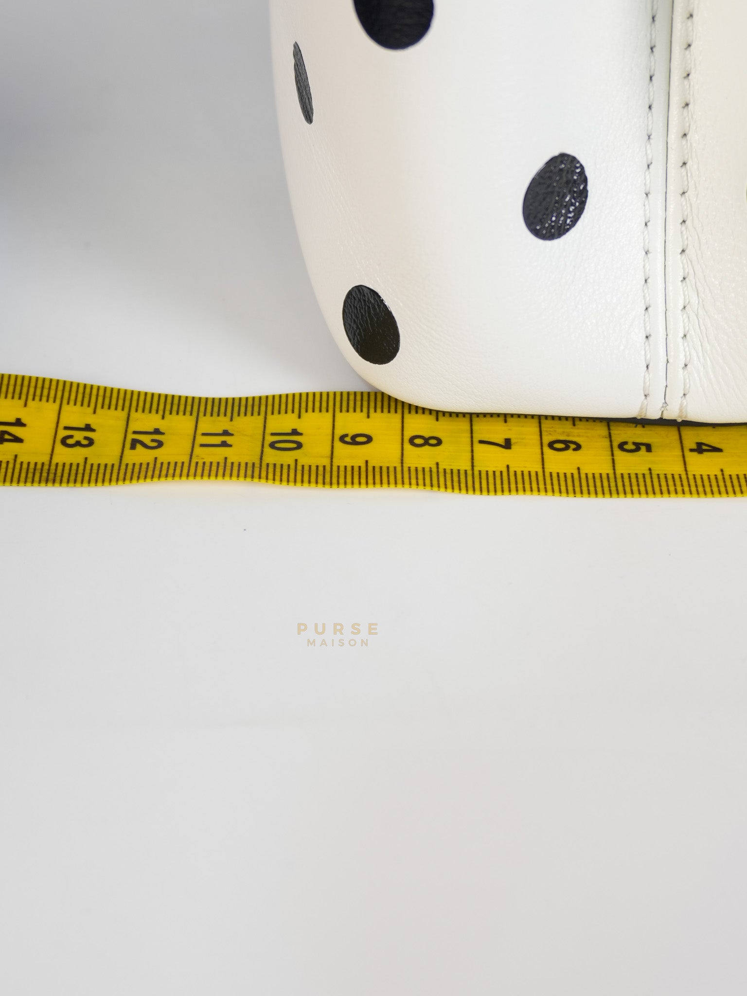 Capucines BB Hand Bag in Black & White Polka Dots Printed Leather (Microchip) | Purse Maison Luxury Bags Shop