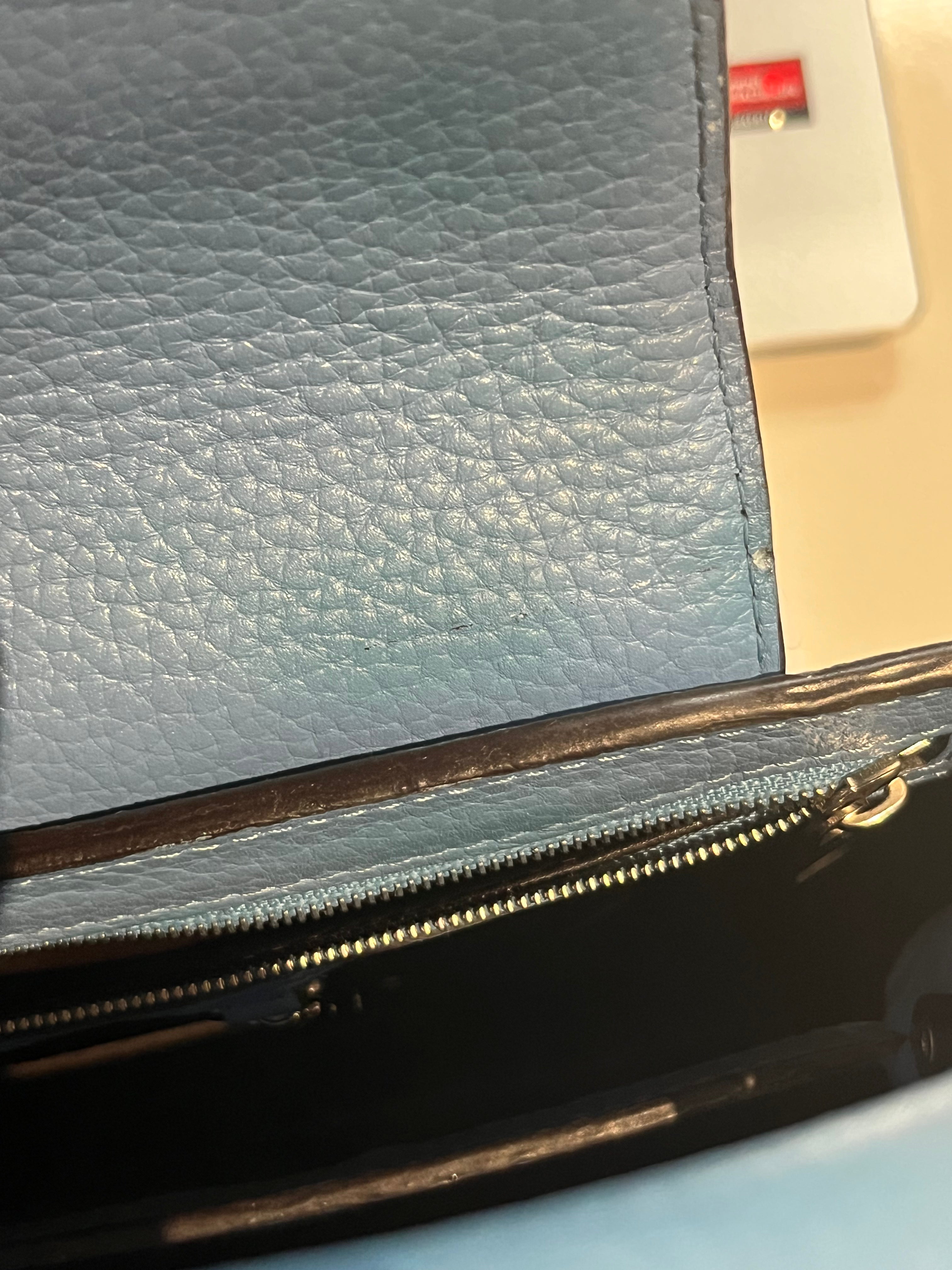Capucines BB in Light Blue Taurillon Leather Silver Hardware | Purse Maison Luxury Bags Shop