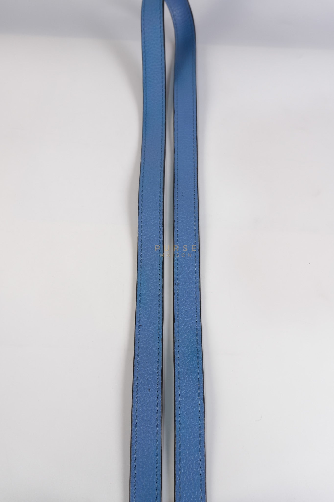 Capucines BB in Light Blue Taurillon Leather Silver Hardware | Purse Maison Luxury Bags Shop