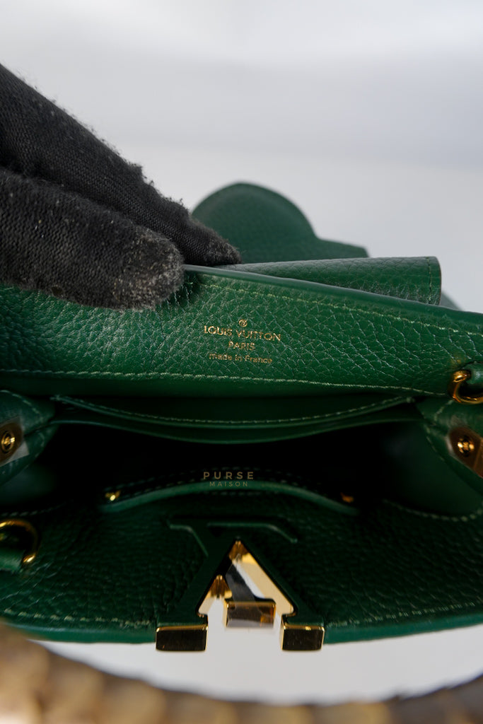 Capucines Mini in Emeraude Green Taurillon Leather Python Skin (Date Code: AH2199) | Purse Maison Luxury Bags Shop