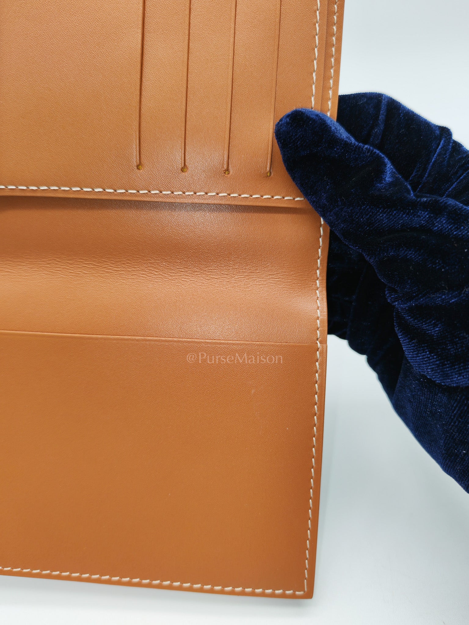Goyard Passport Holder in Tan Goyadine Canvas