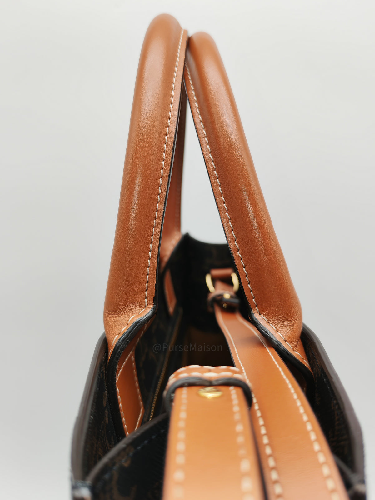 Celine Triomphe Canvas and Tan Calfskin Leather Small Vertical Cabas | Purse Maison Luxury Bags Shop