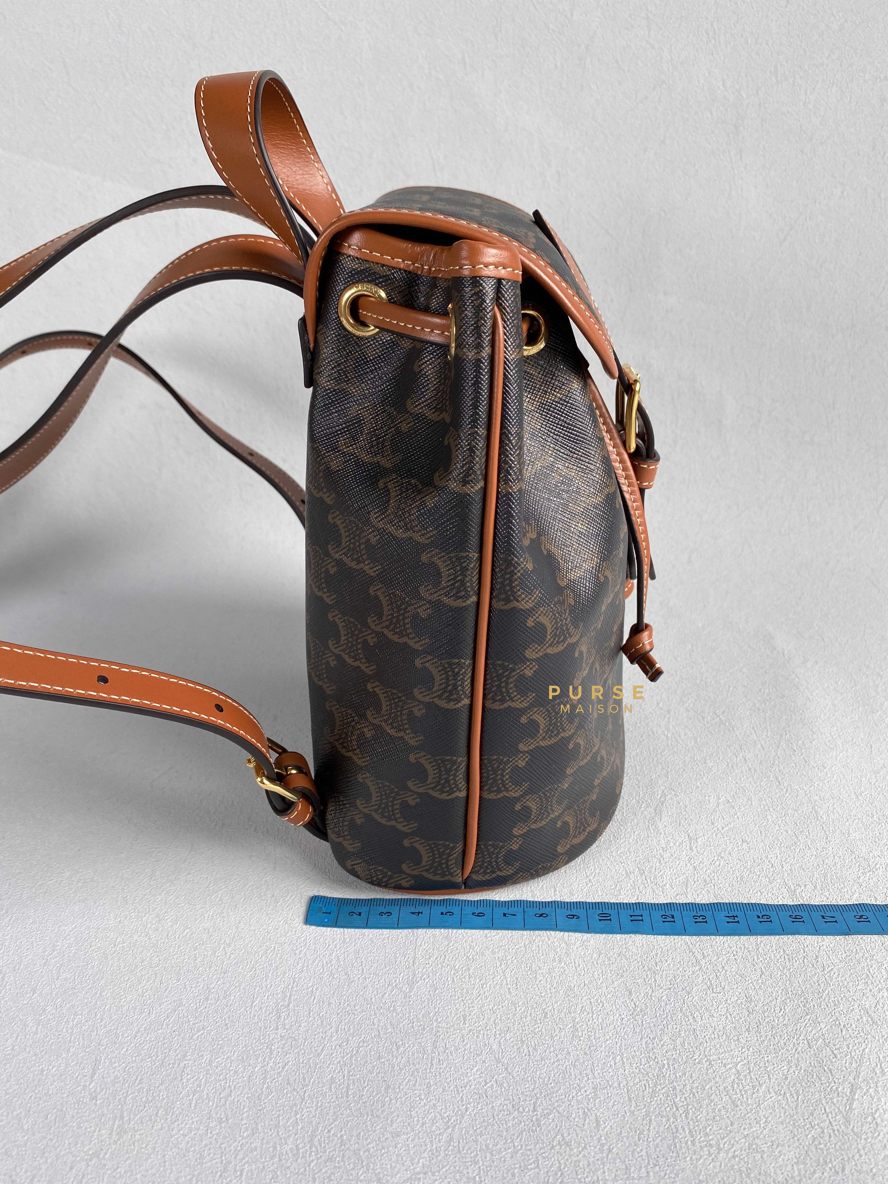 Celine Triomphe Canvas Calfskin Mini Folco Backpack | Purse Maison Luxury Bags Shop