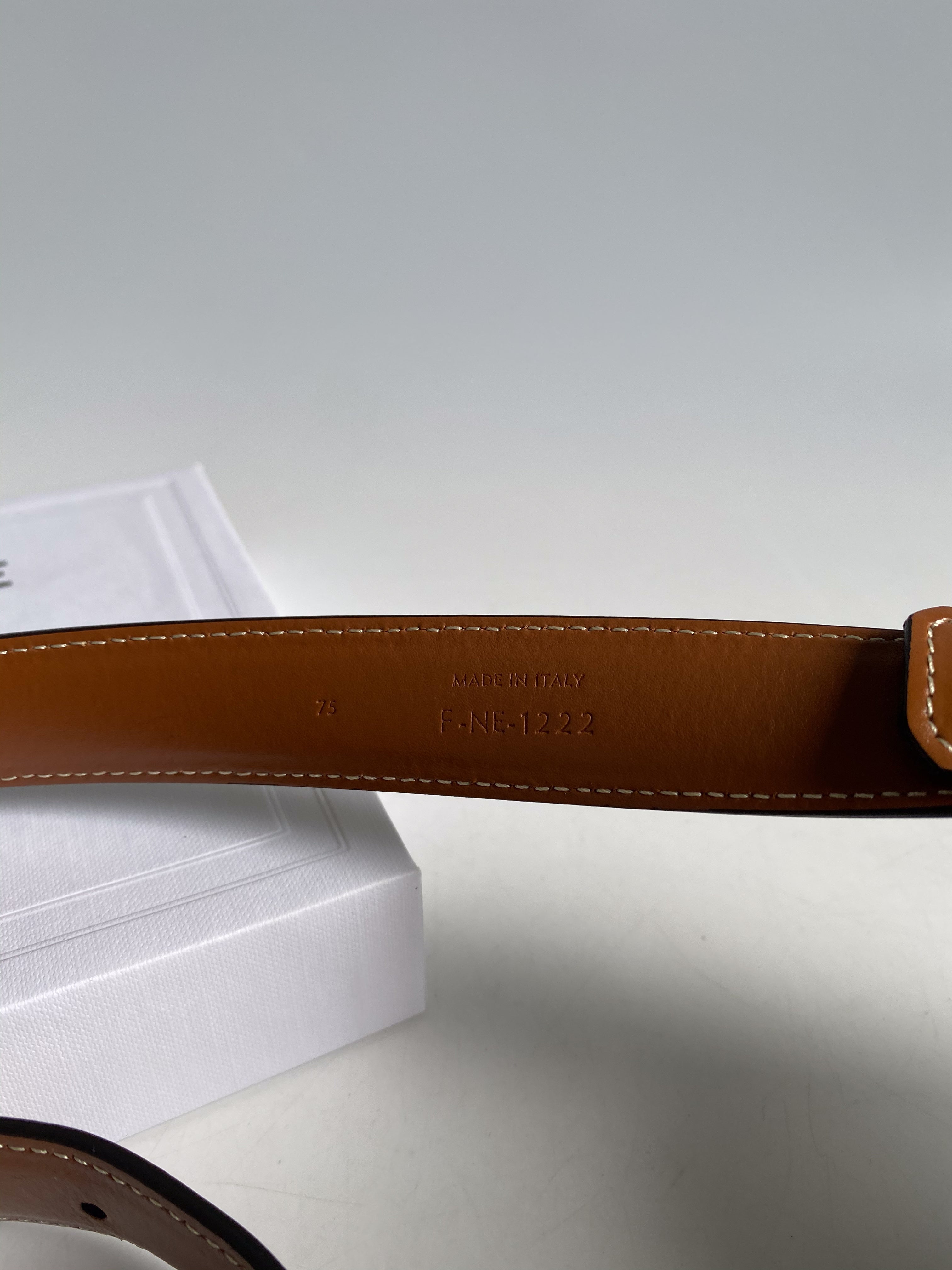 Celine Triomphe Medium With Border Belt in Triomphe Canvas and Calfskin (Size 75)