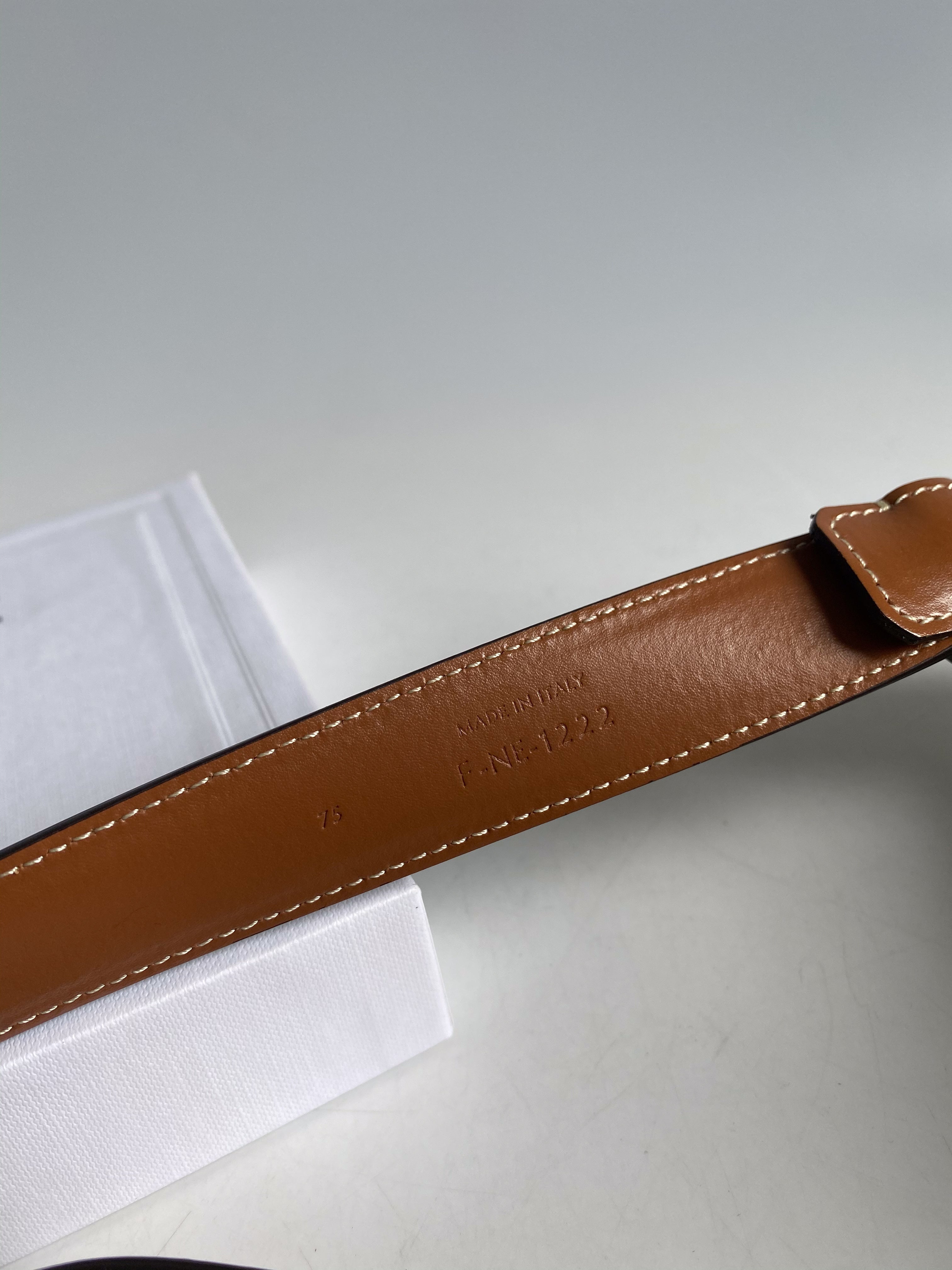 Celine Triomphe Medium With Border Belt in Triomphe Canvas and Calfskin (Size 75)