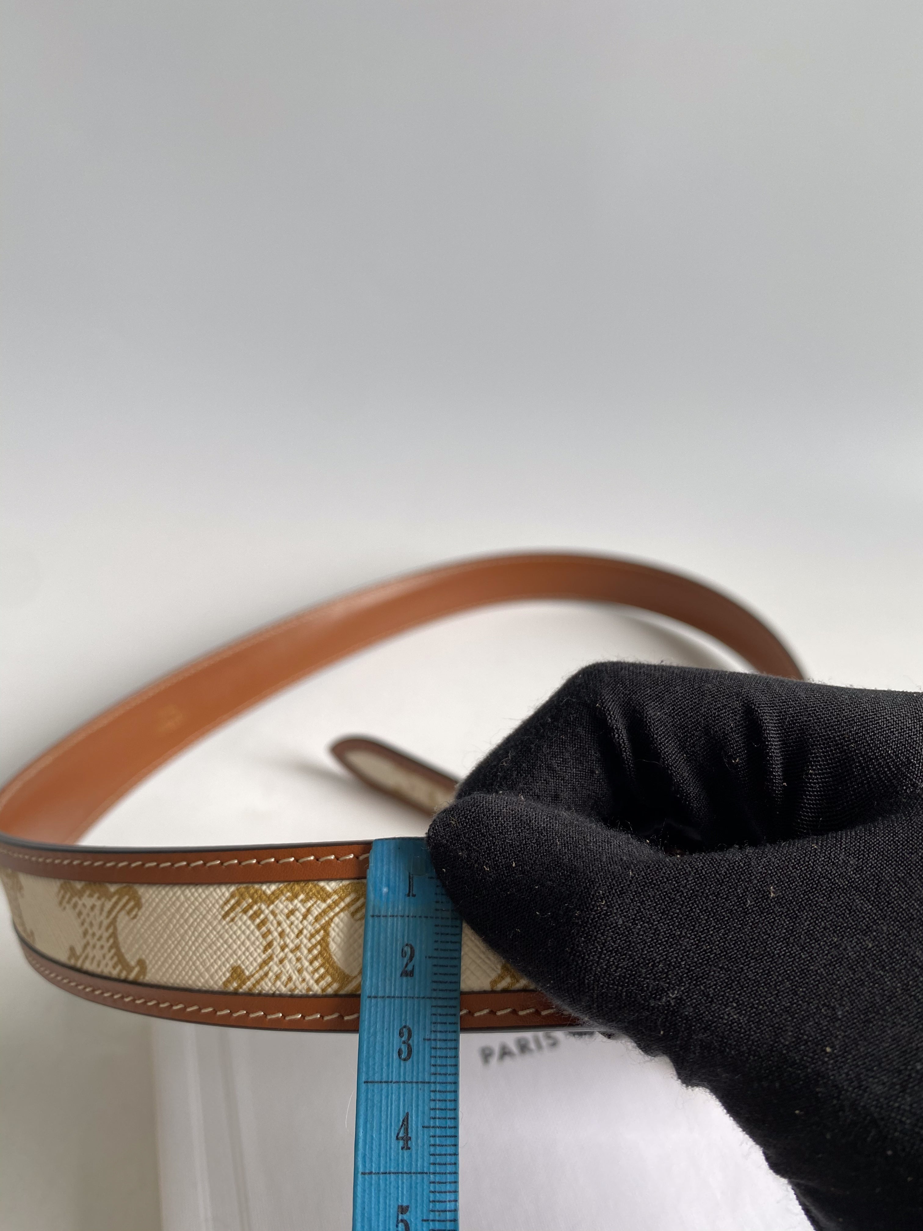 Celine Triomphe Medium With Border Belt in Triomphe Canvas and Calfskin (Size 75)