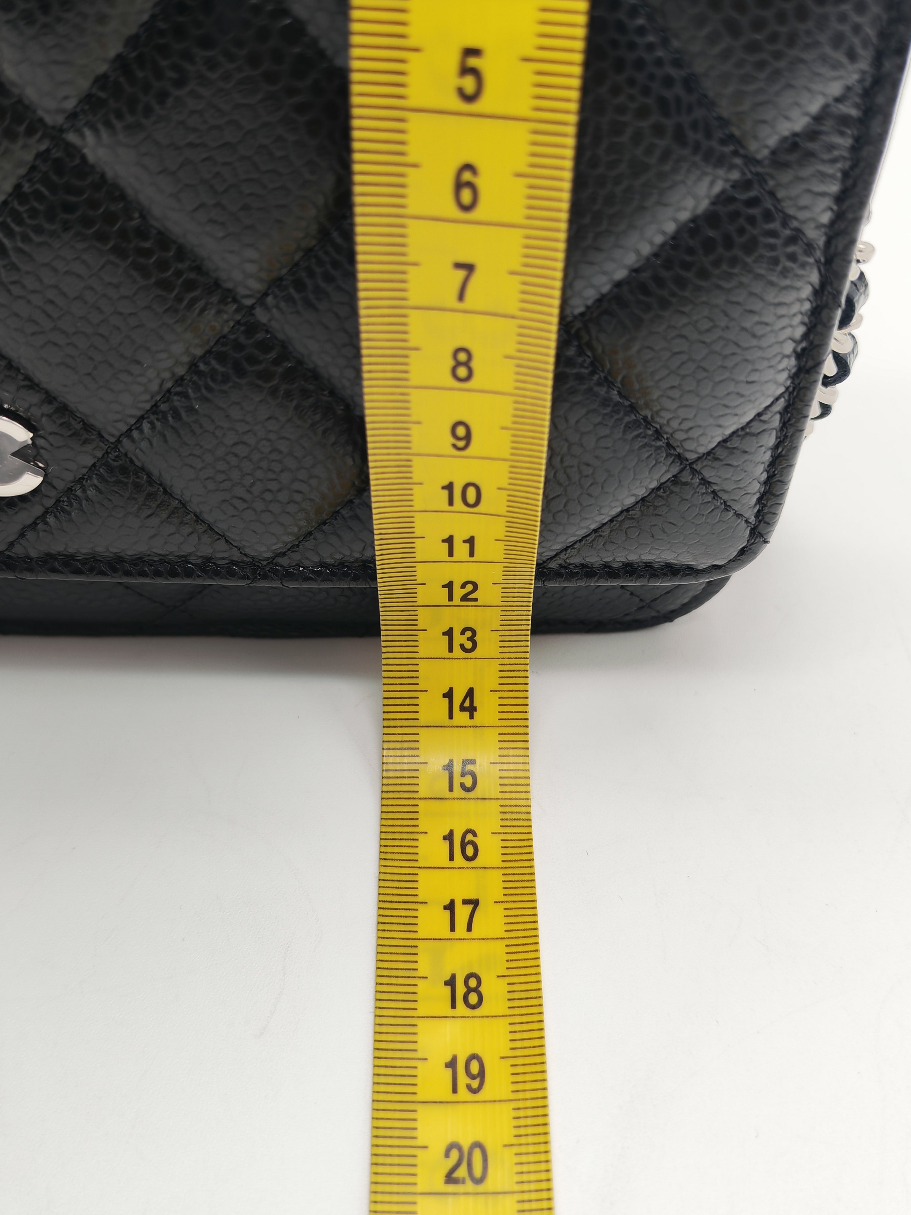 Chanel Classic Wallet on Chain (WOC) in Black Caviar Leather Silver Hardware (Series 30****85) | Purse Maison Luxury Bags Shop