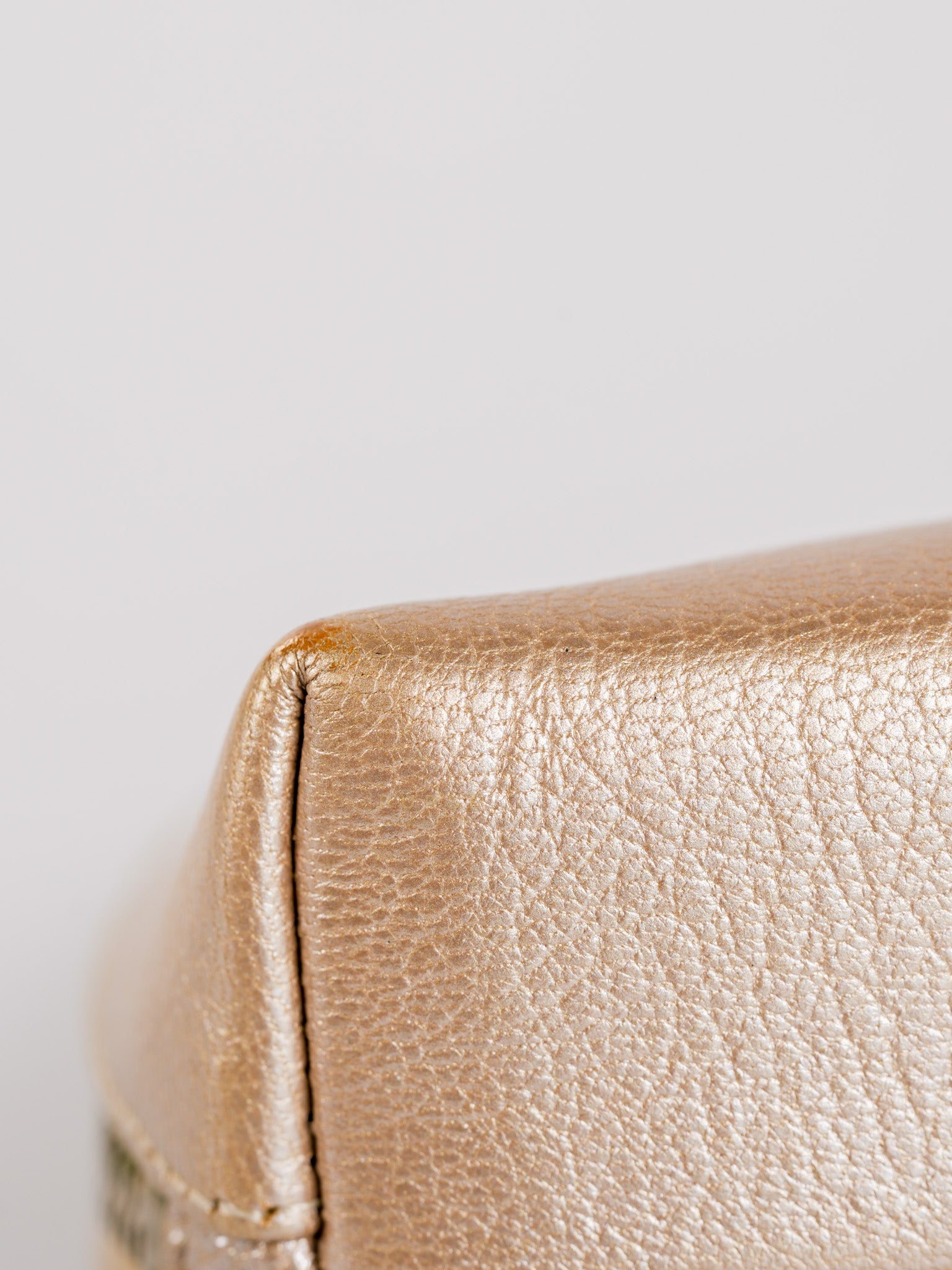 Cosmetic Case Metallic Goatskin Leather and Silver Hardware Series 11 | Purse Maison Luxury Bags Shop