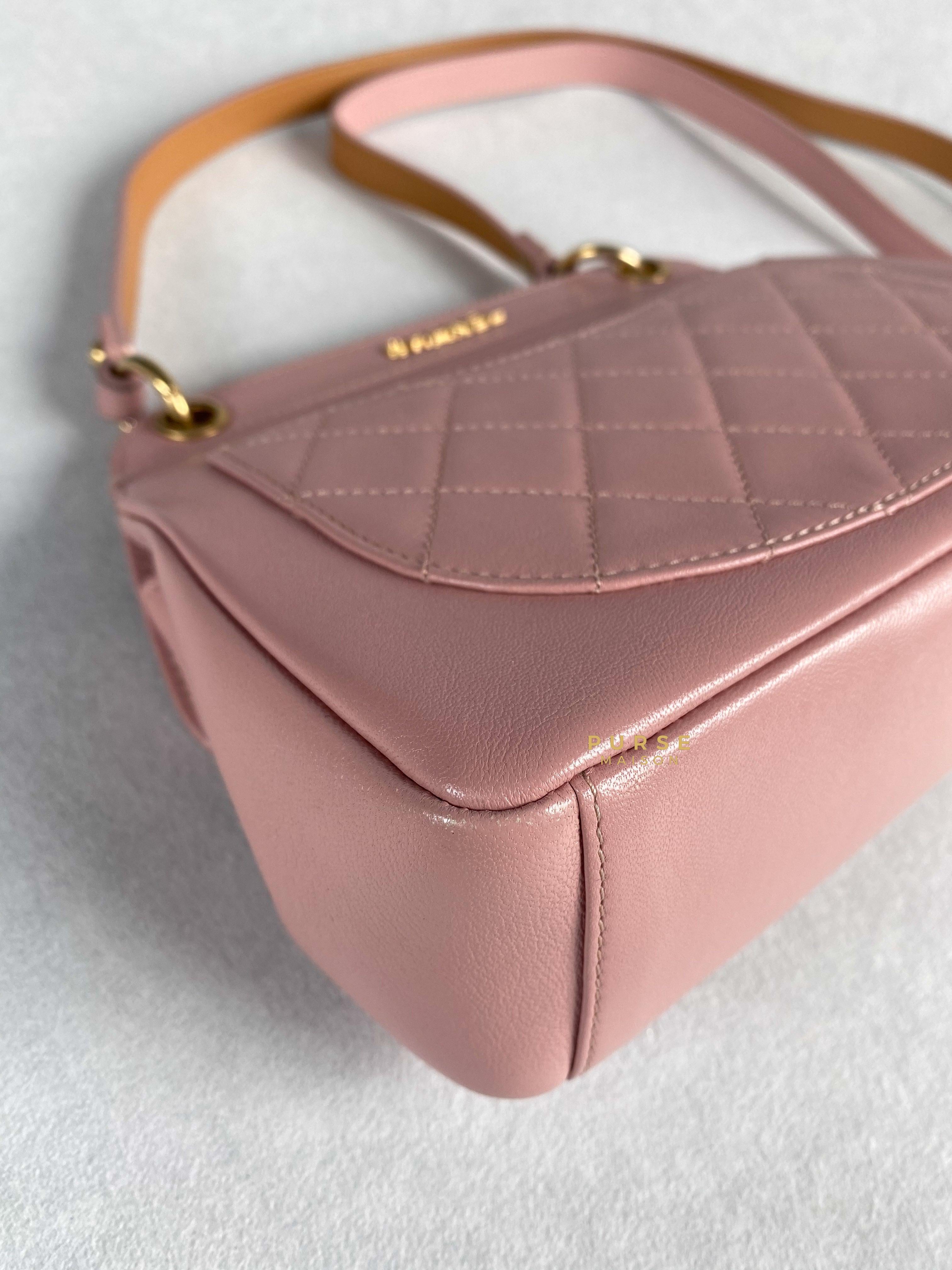 Chanel Curved Flap Bag in Baby Pink Calfskin and Aged Gold Hardware Series 27 | Purse Maison Luxury Bags Shop