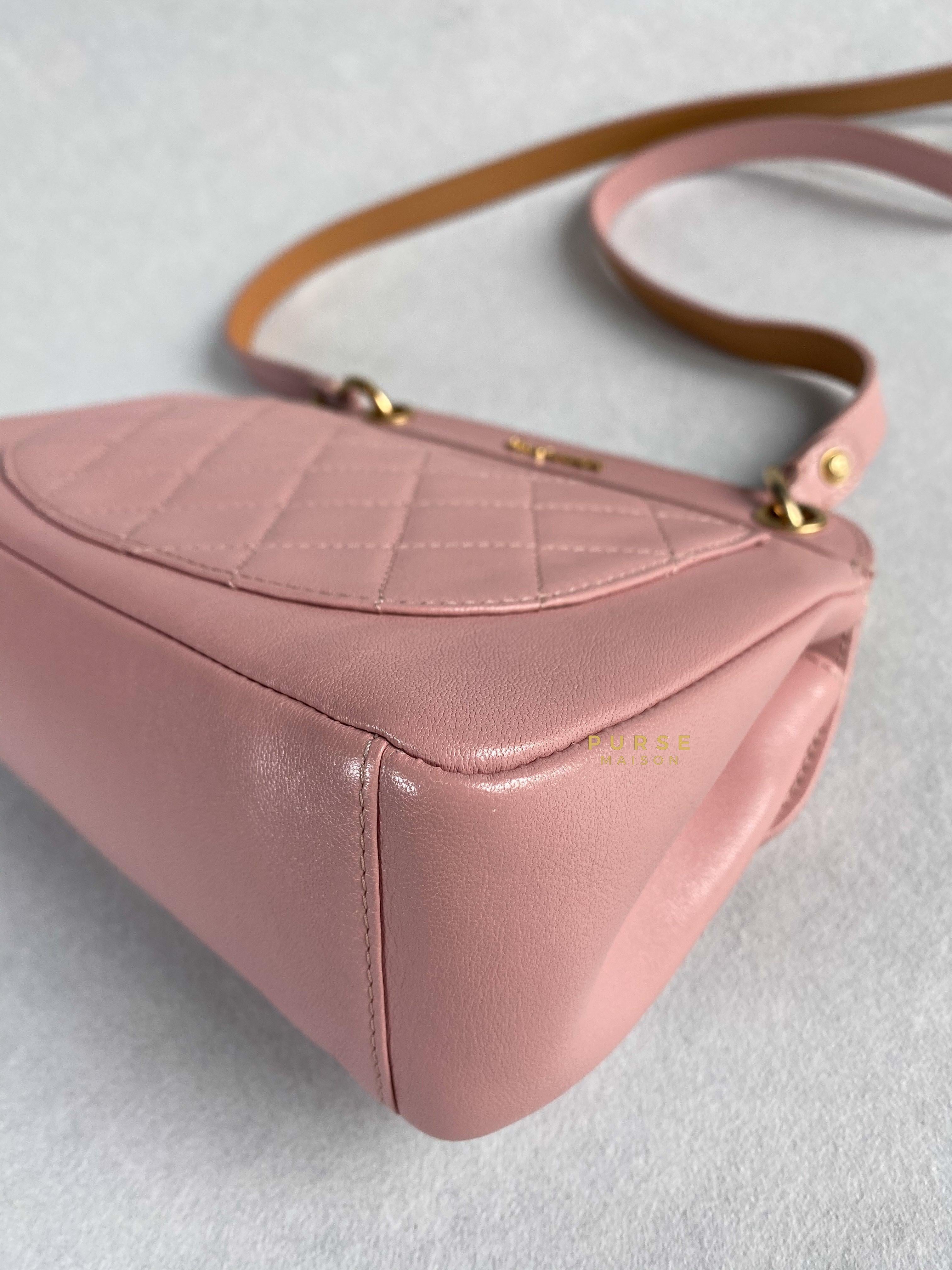 Chanel Curved Flap Bag in Baby Pink Calfskin and Aged Gold Hardware Series 27 | Purse Maison Luxury Bags Shop