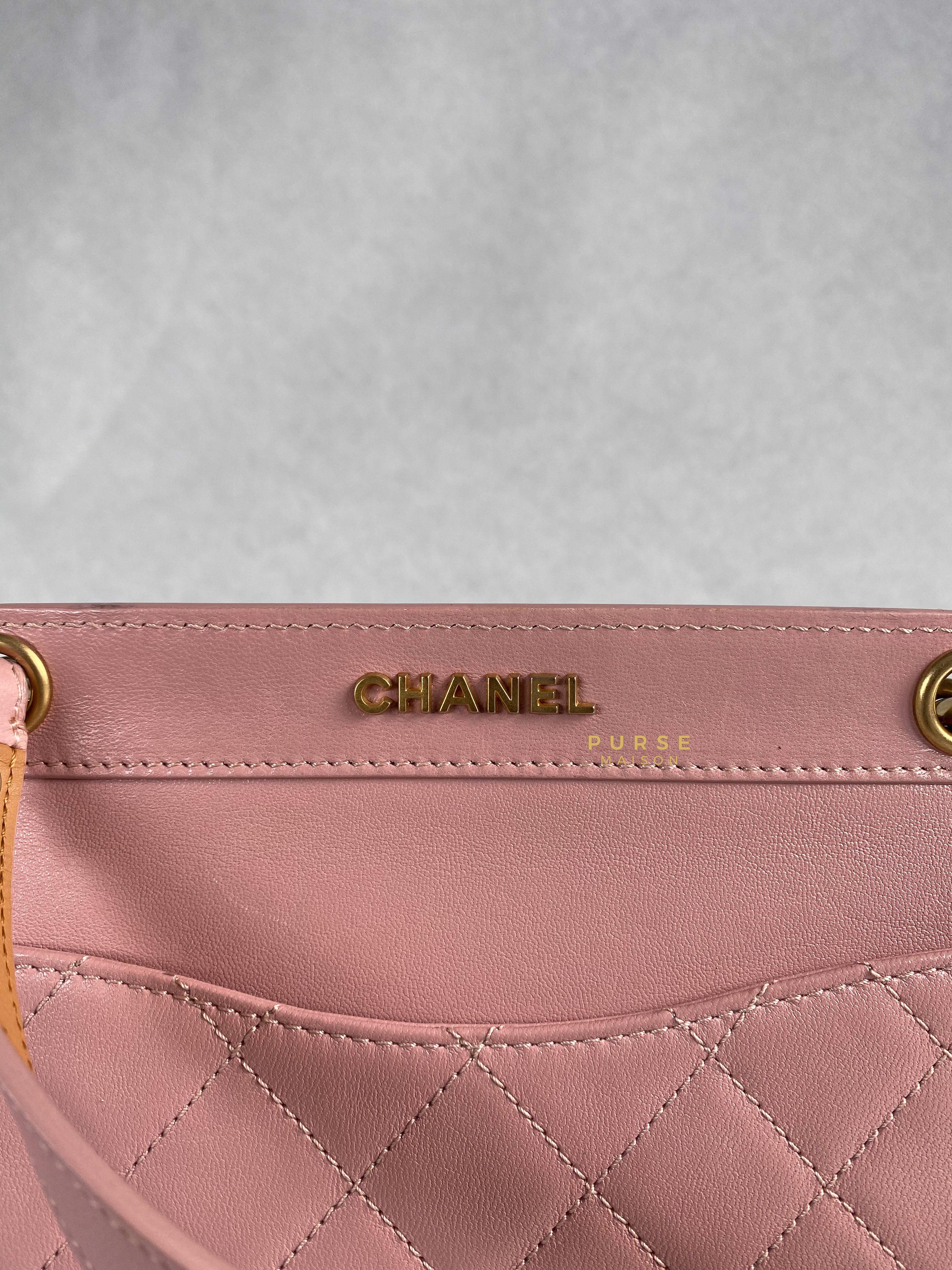 Chanel Curved Flap Bag in Baby Pink Calfskin and Aged Gold Hardware Series 27 | Purse Maison Luxury Bags Shop