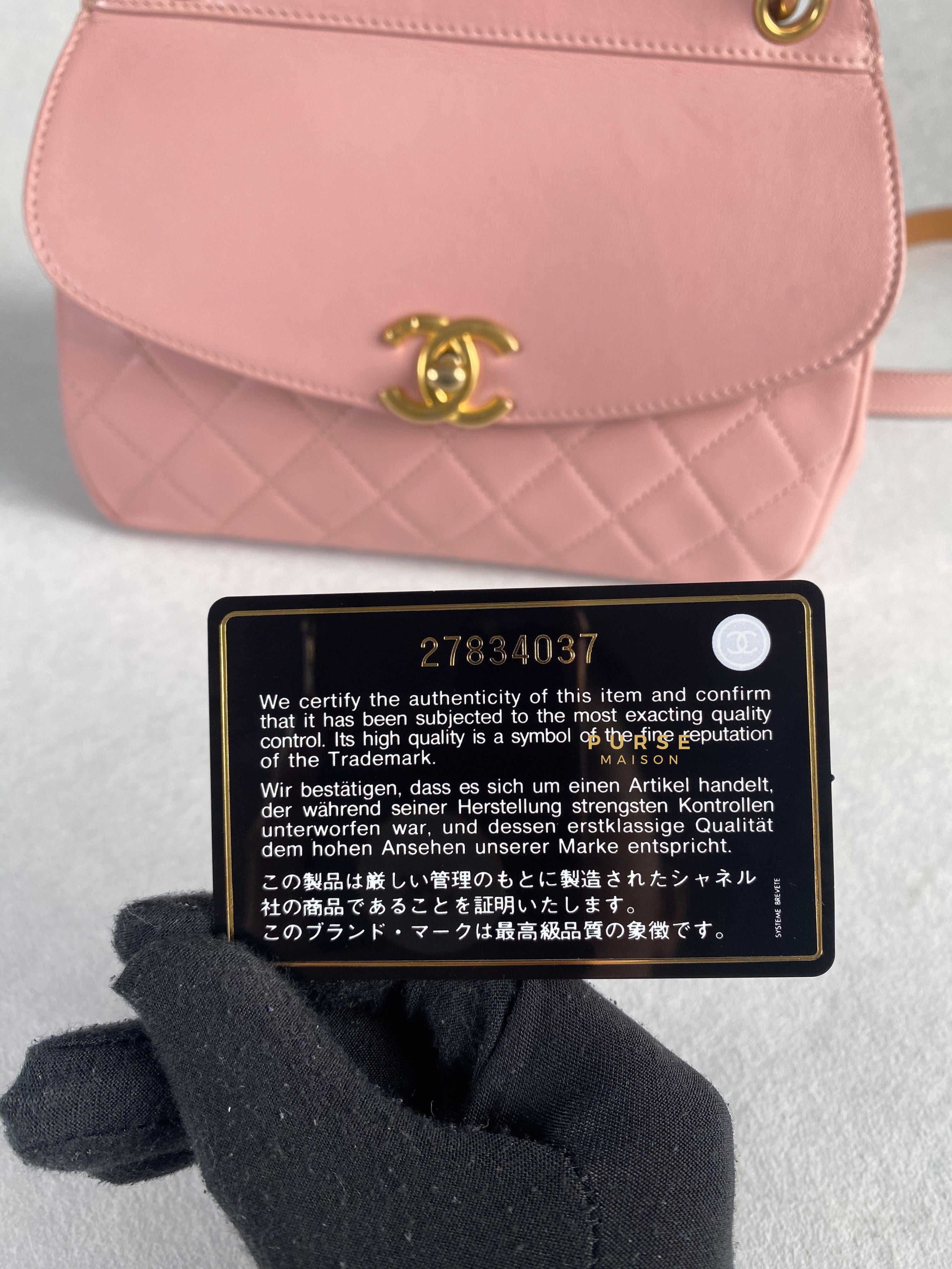 Chanel Curved Flap Bag in Baby Pink Calfskin and Aged Gold Hardware Series 27 | Purse Maison Luxury Bags Shop