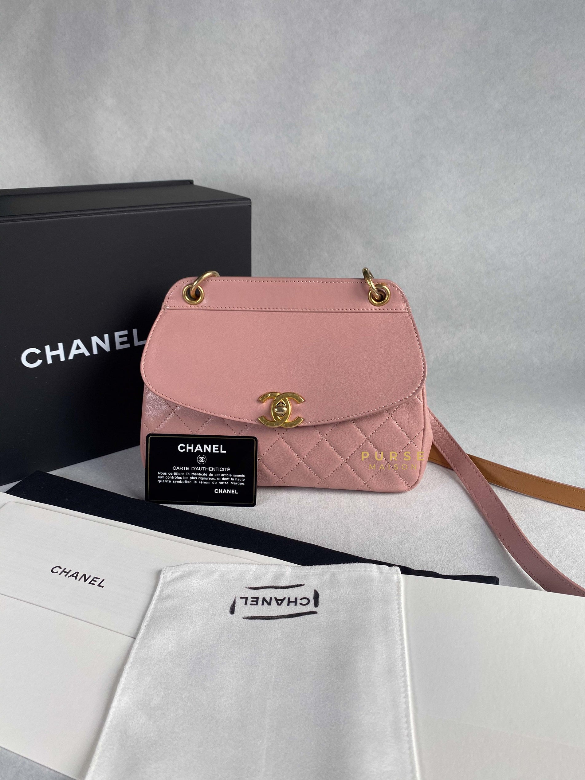 Chanel Curved Flap Bag in Baby Pink Calfskin and Aged Gold Hardware Series 27 | Purse Maison Luxury Bags Shop