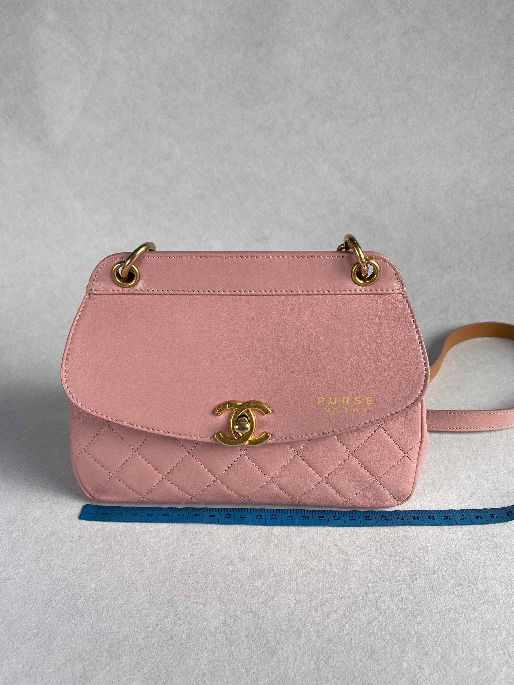 Chanel Curved Flap Bag in Baby Pink Calfskin and Aged Gold Hardware Series 27 | Purse Maison Luxury Bags Shop