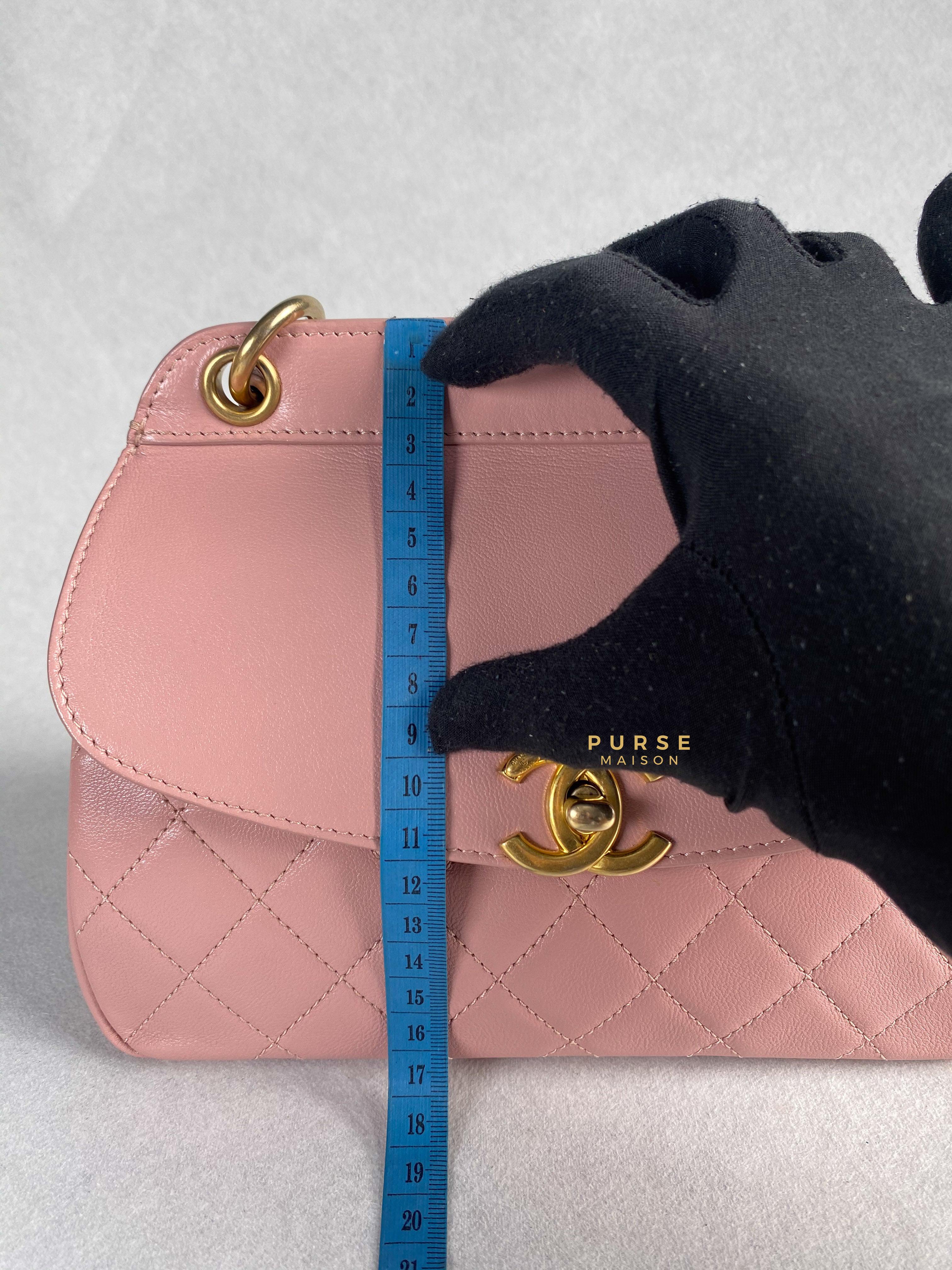 Chanel Curved Flap Bag in Baby Pink Calfskin and Aged Gold Hardware Series 27 | Purse Maison Luxury Bags Shop
