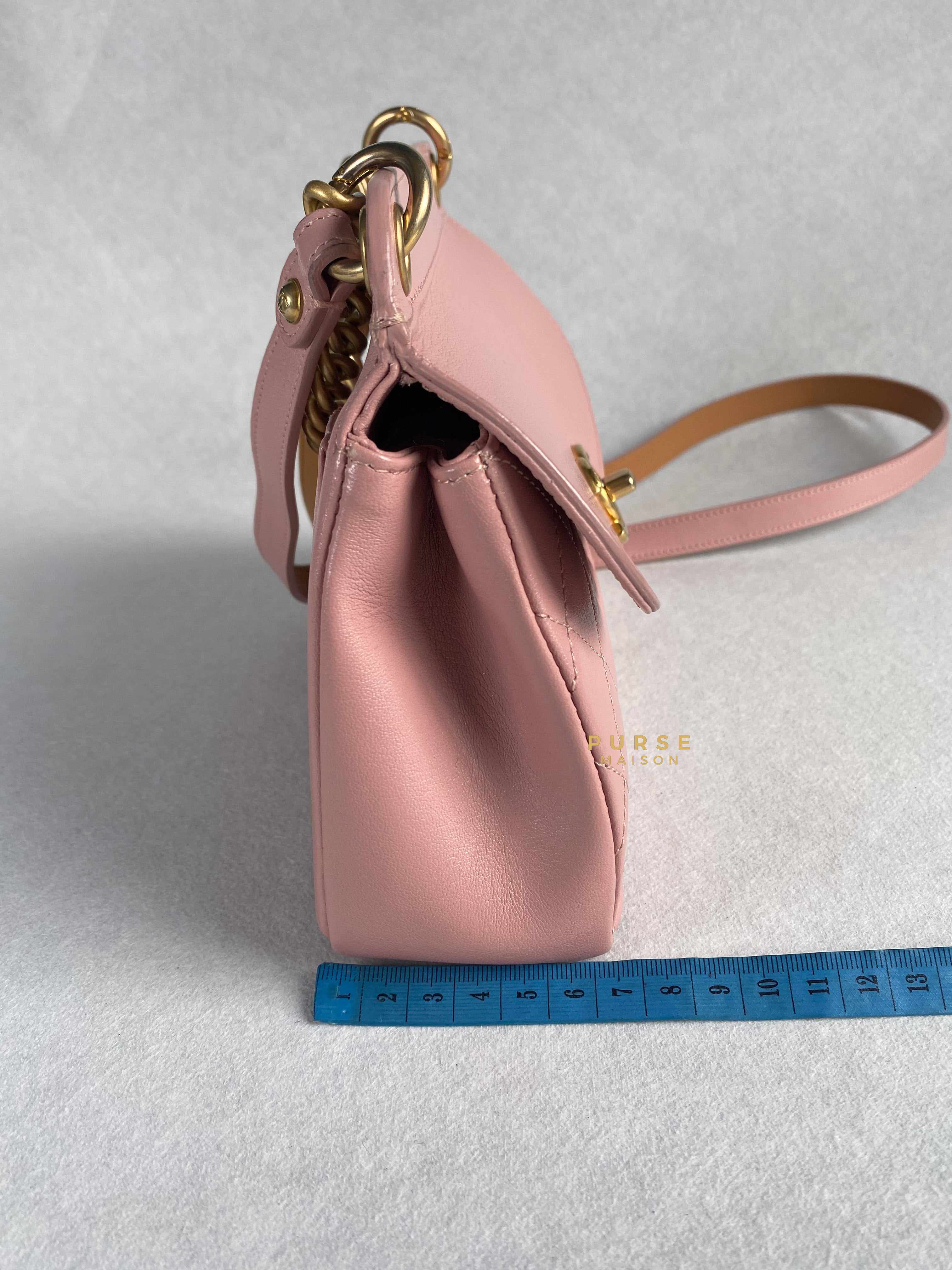 Chanel Curved Flap Bag in Baby Pink Calfskin and Aged Gold Hardware Series 27 | Purse Maison Luxury Bags Shop