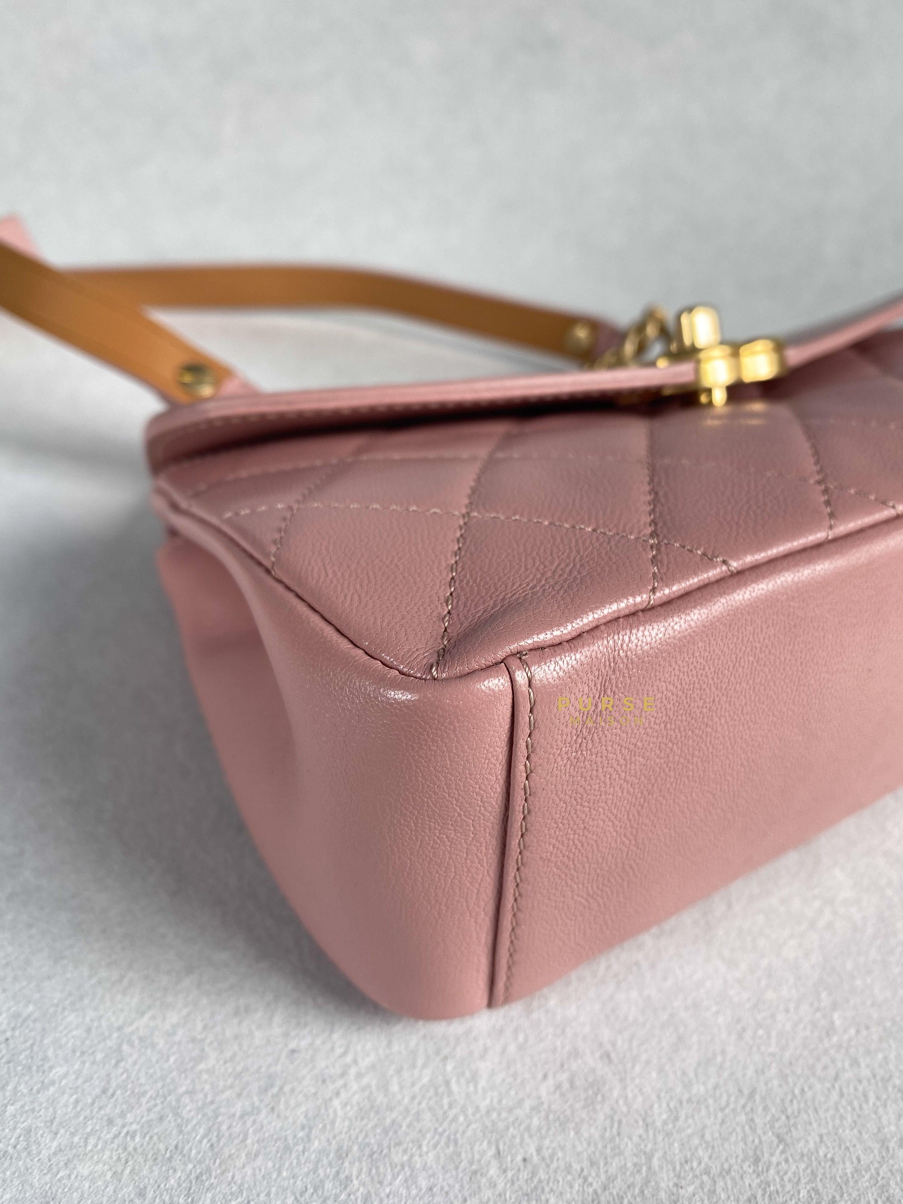 Chanel Curved Flap Bag in Baby Pink Calfskin and Aged Gold Hardware Series 27 | Purse Maison Luxury Bags Shop