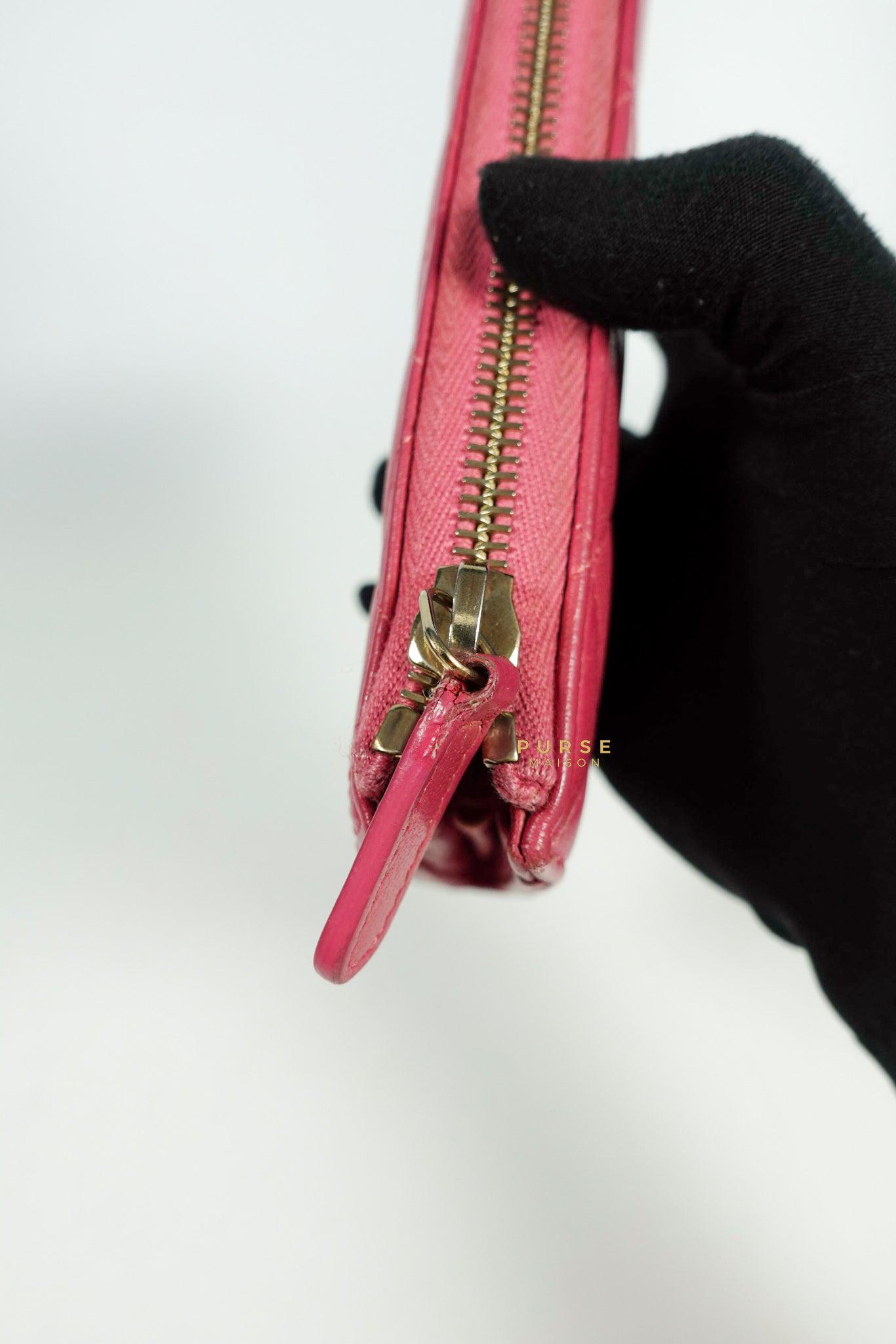 Chanel Zipped Long Wallet in Pink Lambskin and Gold Hardware Series 17