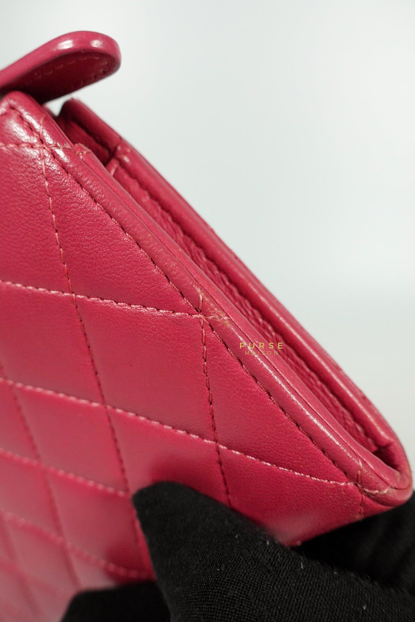 Chanel Zipped Long Wallet in Pink Lambskin and Gold Hardware Series 17