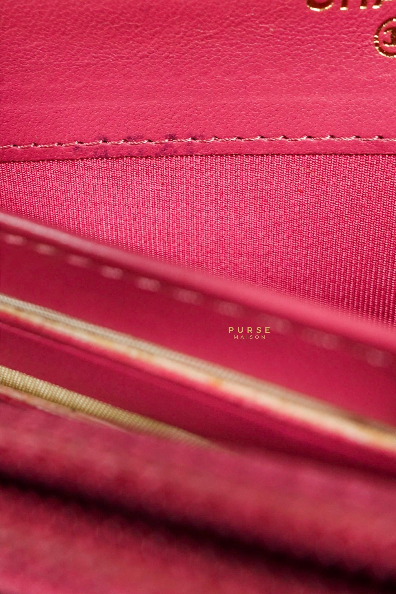 Chanel Zipped Long Wallet in Pink Lambskin and Gold Hardware Series 17